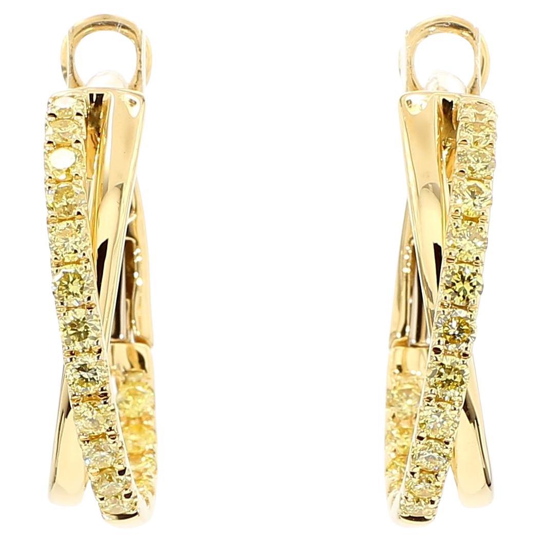 Natural Yellow Round Diamond .96 Carat TW Yellow Gold Hoop Earrings