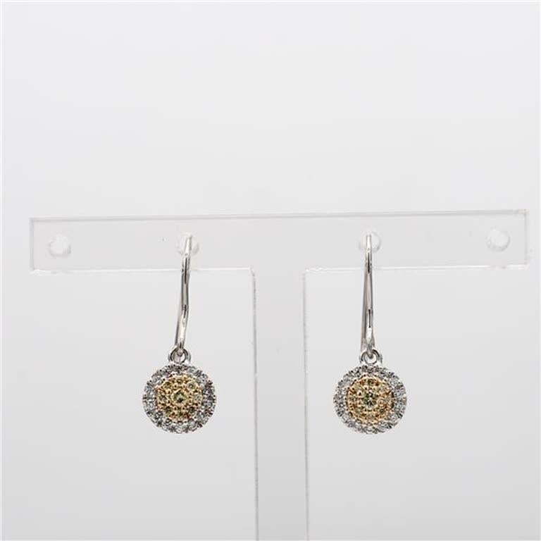 RareGemWorld's classic natural cluster diamond earrings. Mounted in a beautiful 18K Yellow and White Gold setting with natural round yellow diamonds and white diamonds. These earrings include a single halo of yellow diamond melee as well as a single