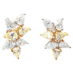 Stud Earrings