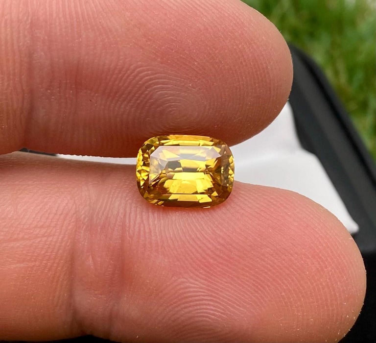 Saphir Jaune Naturel 9 Carats Coupe Coussin - Certifié GIR, Qualité Excellente, Provenance Sri Lanka