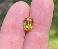 Natural Yellow Zircon loose gemstone 5.00ct., High quality, Cushion, Certificate
