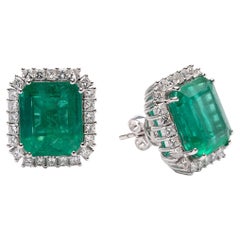 Natural Zambian Emerald Earrings with 11.06 Carats Emeralds in 14k Golf