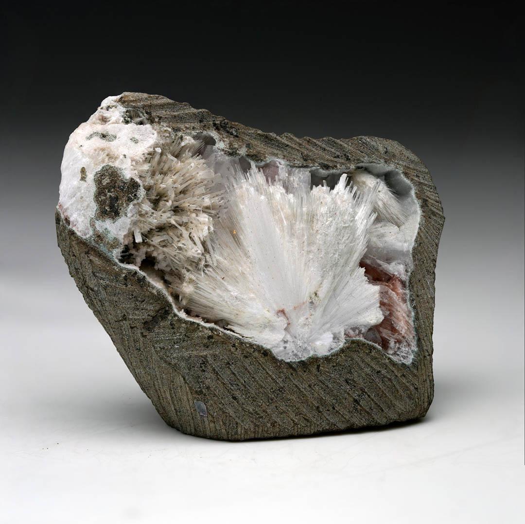 Diese außergewöhnliche Zeolith-Geode zeigt eine atemberaubende, strahlende Gischt aus weißen Scolecit-Kristallen, die aus einer natürlichen Matrix hervortreten, akzentuiert von zartrosa Heulandit-Blättern, die einen warmen Kontrast und Eleganz