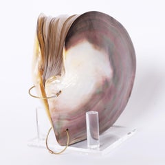 Naturalist Collection of Bound Marine Botanicals