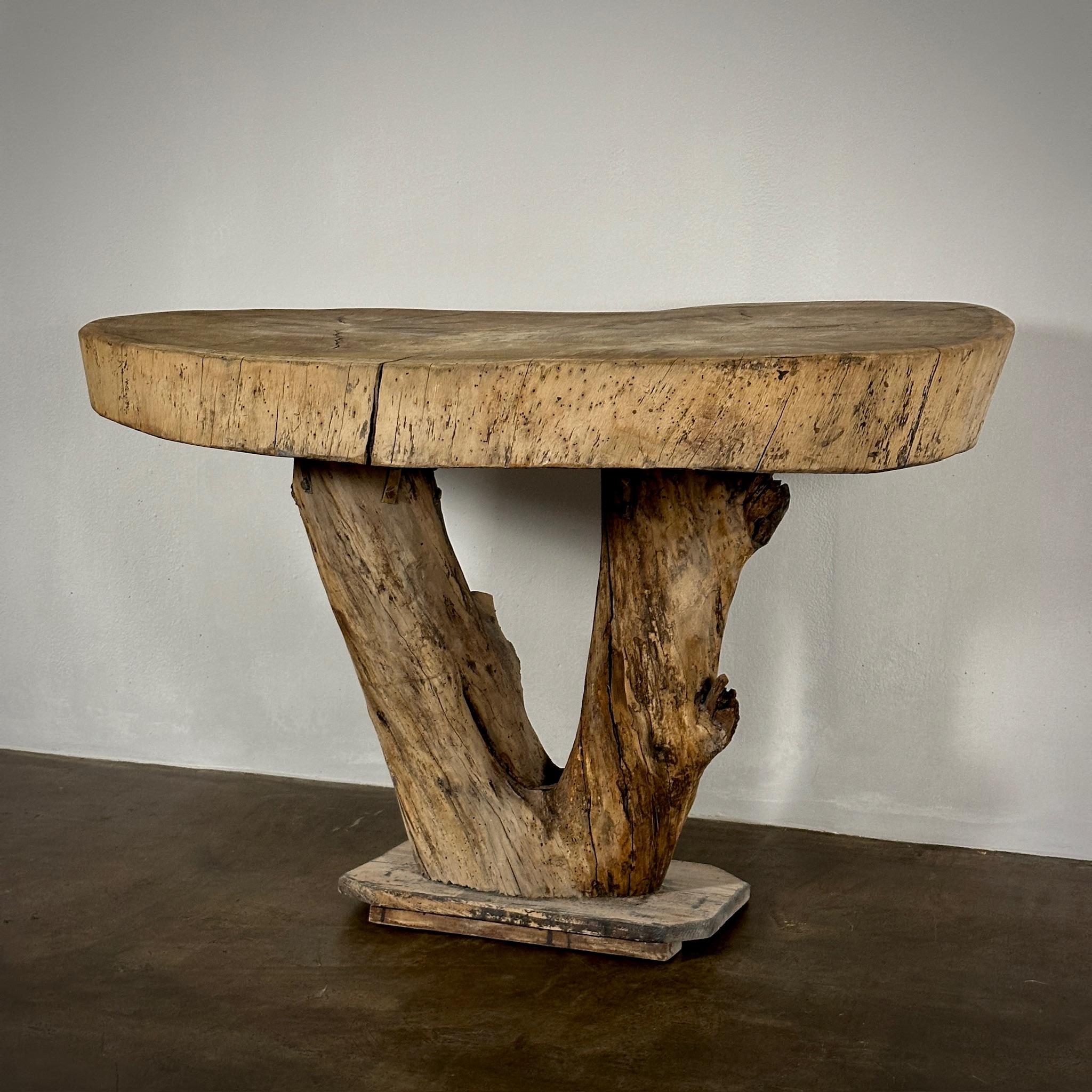 Early 20th Century Naturalist Table For Sale