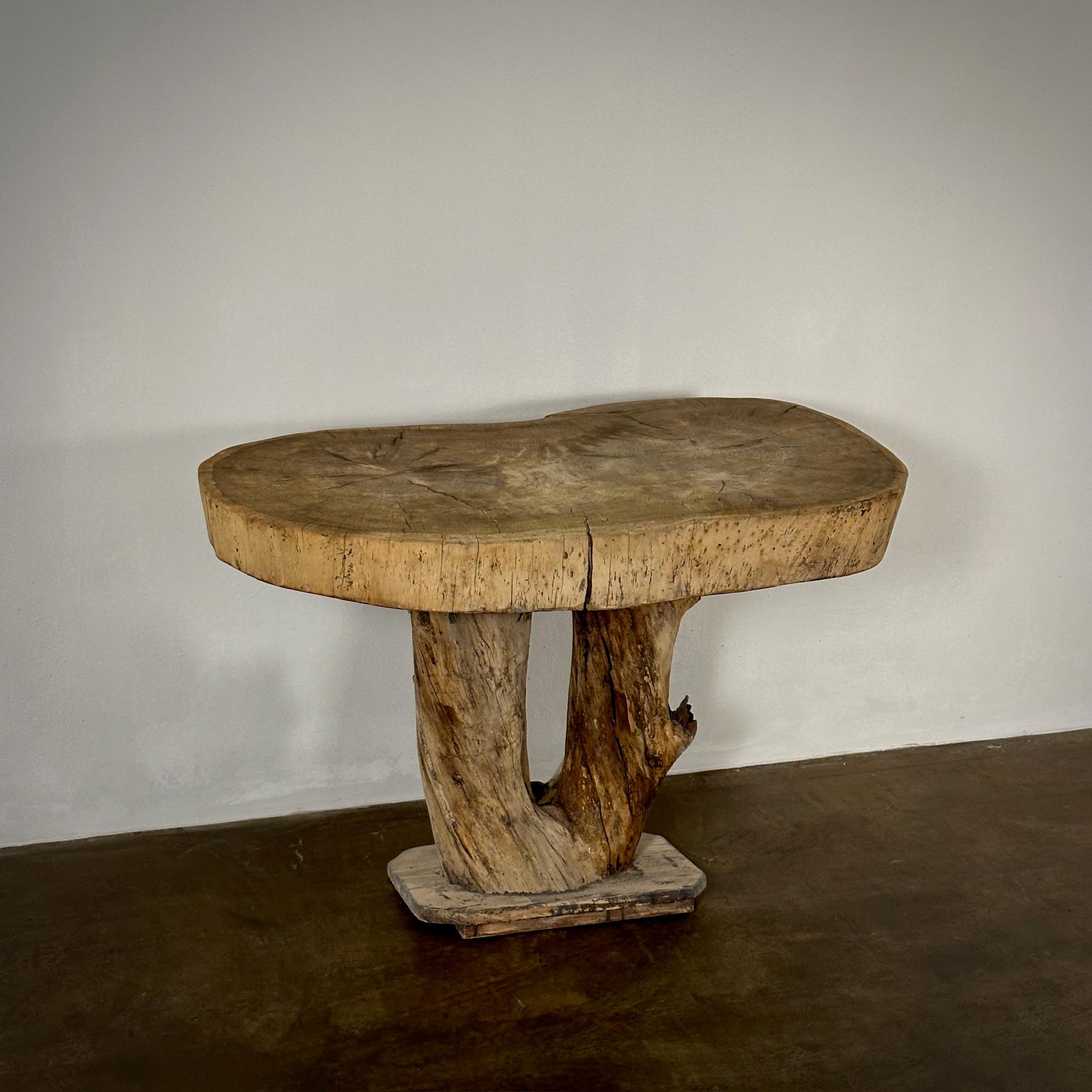 Naturalist Table For Sale 1
