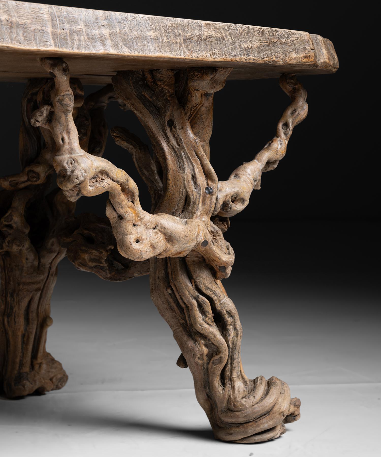 French Naturalistic Elm Coffee Table, France circa 1950