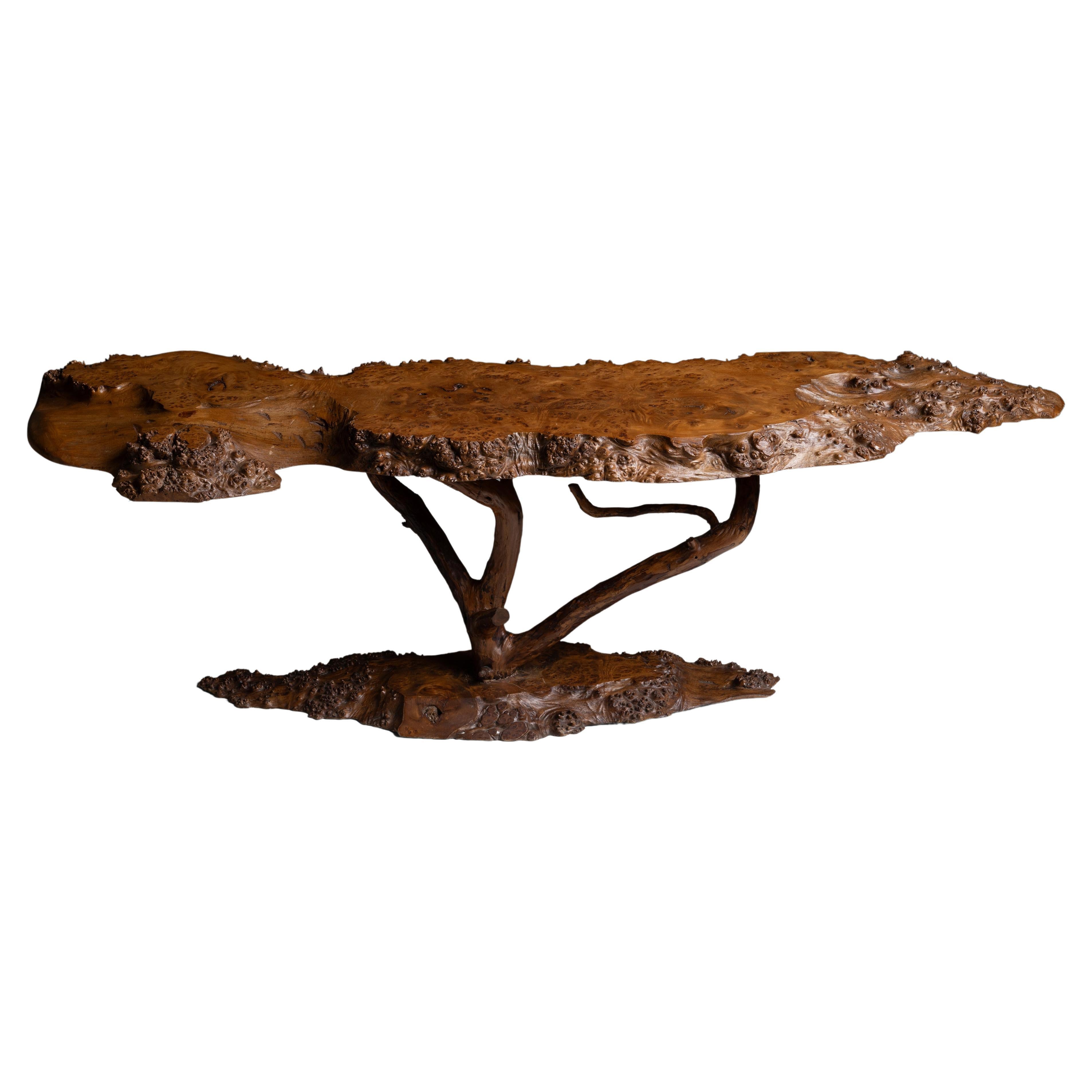 Naturalistic Thuya Coffee Table, France circa 1950