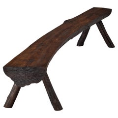 Panchina Naturalistic Tree Slab Large 292 cm/114 in