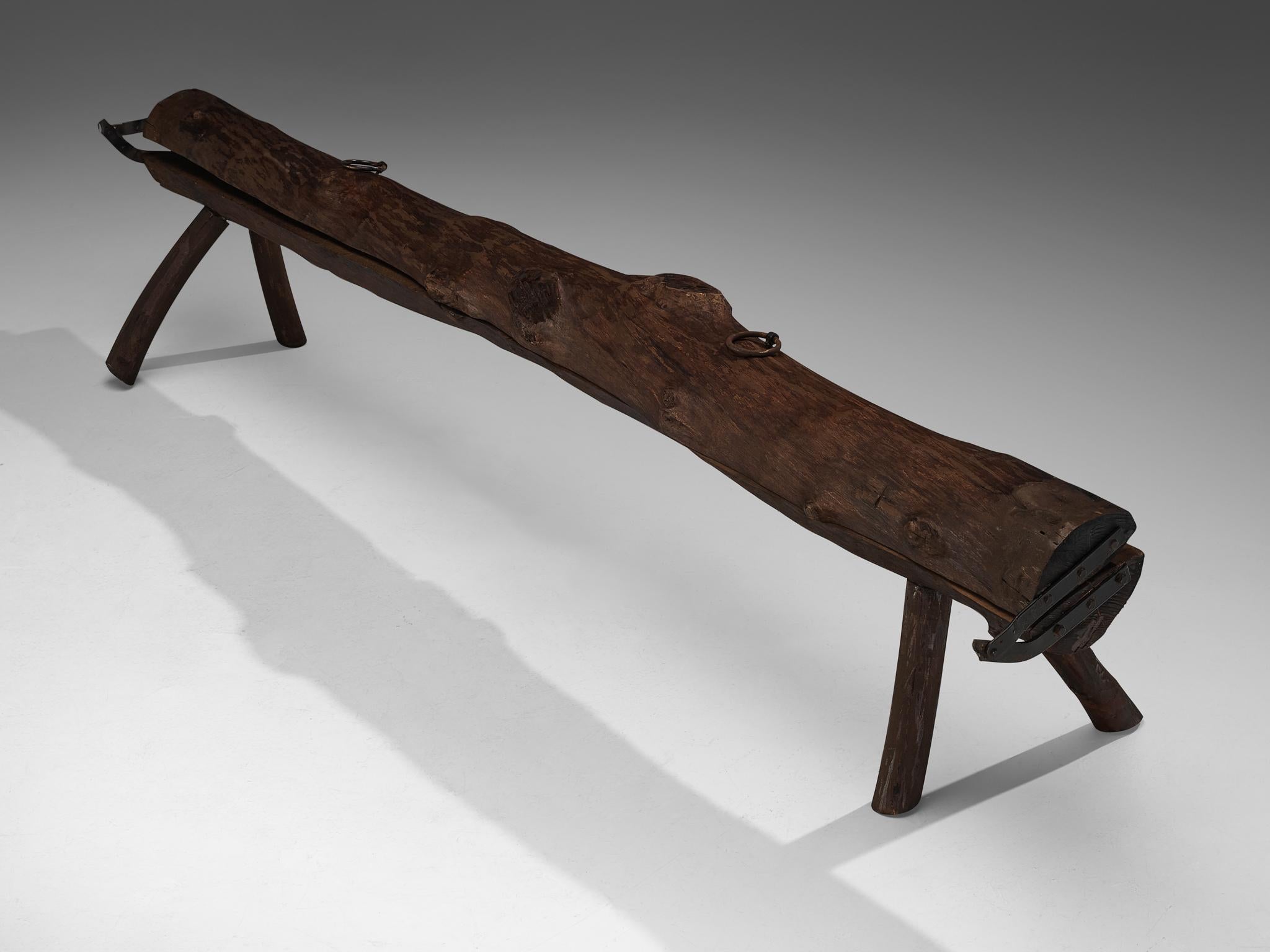 Naturalistic Tree Slab Large Bench 296 cm/116.54 in. For Sale 2