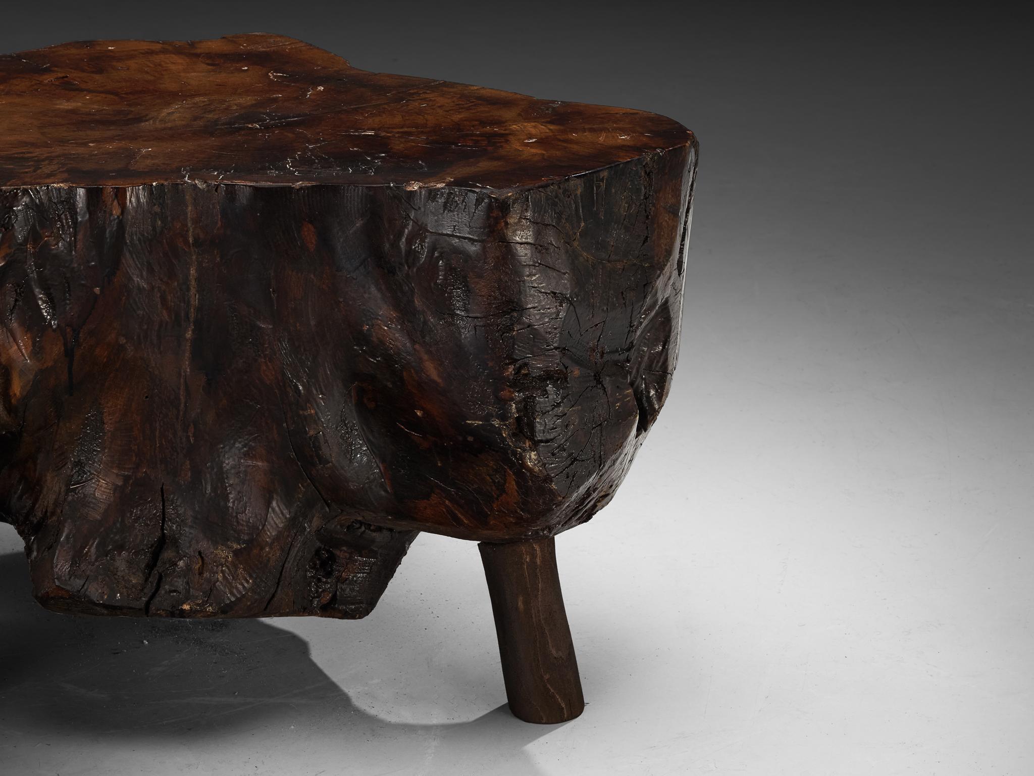 Naturalistic Tree Slab Low Table and Stools 5