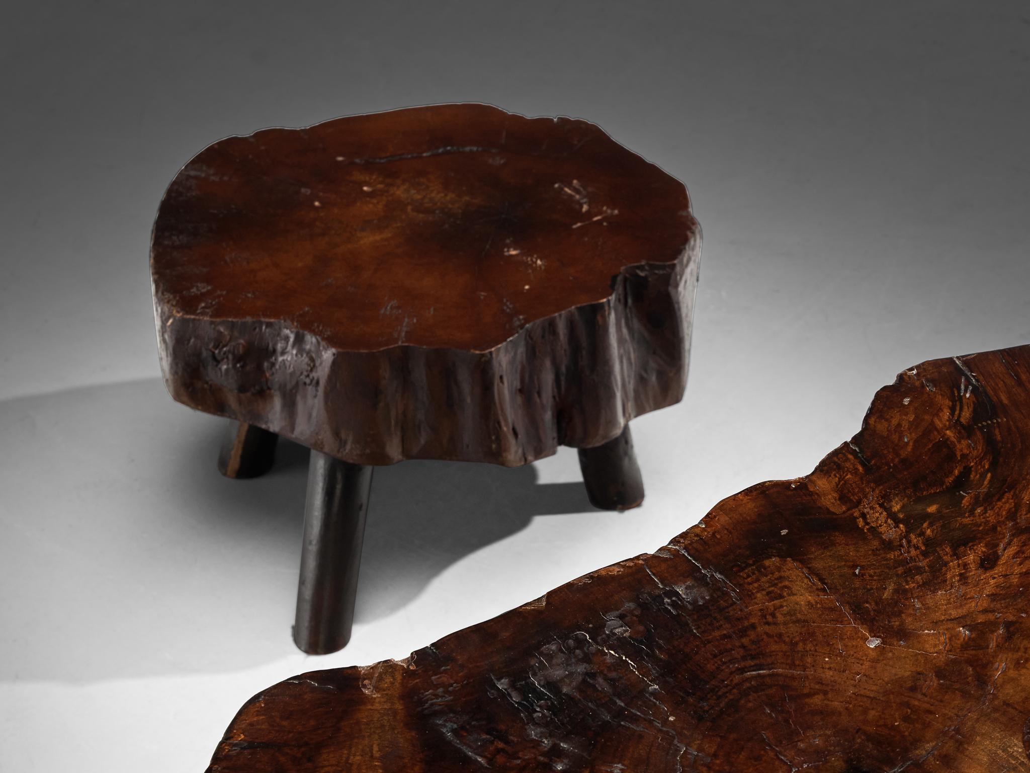 Naturalistic Tree Slab Low Table and Stools 6