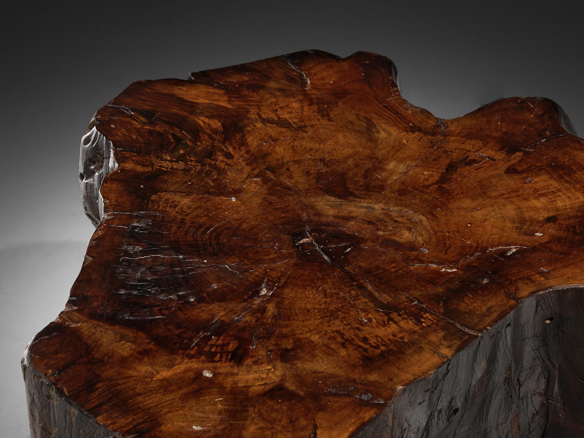 Italian Naturalistic Tree Slab Low Table and Stools