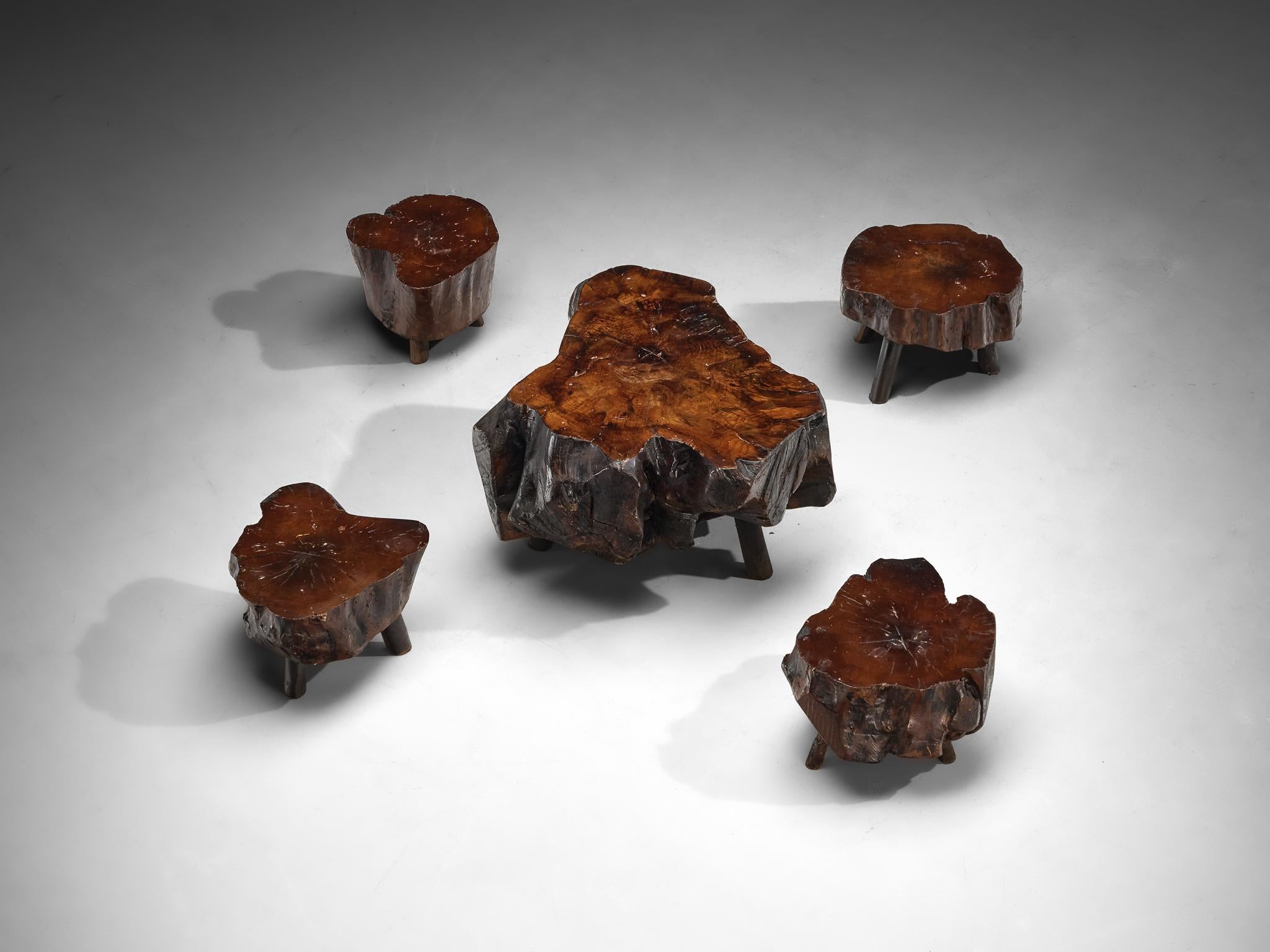 Naturalistic Tree Slab Low Table and Stools 2