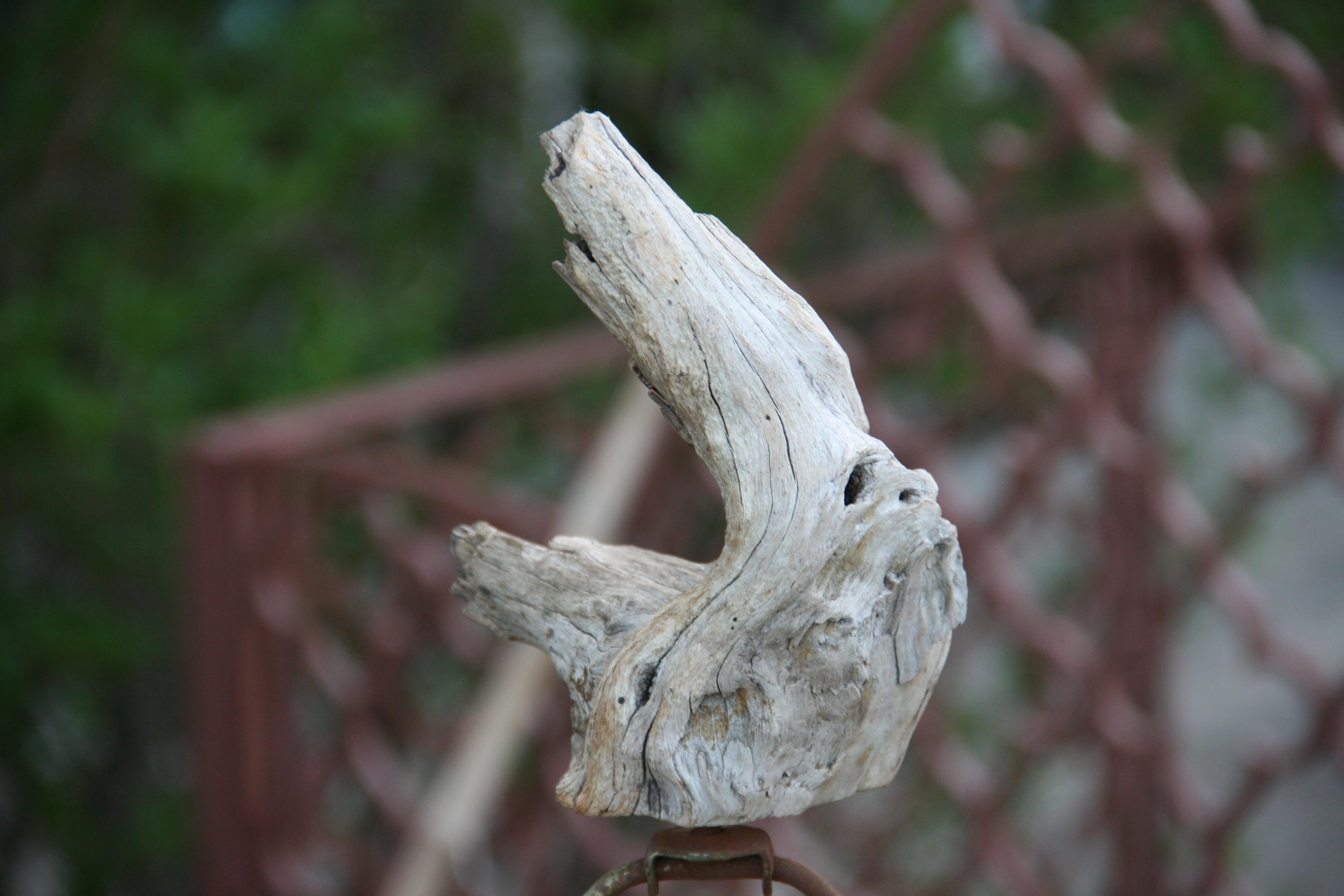 Naturally Sculpted Driftwood Table Lamp/Natural Sculpture 1950's For Sale 5