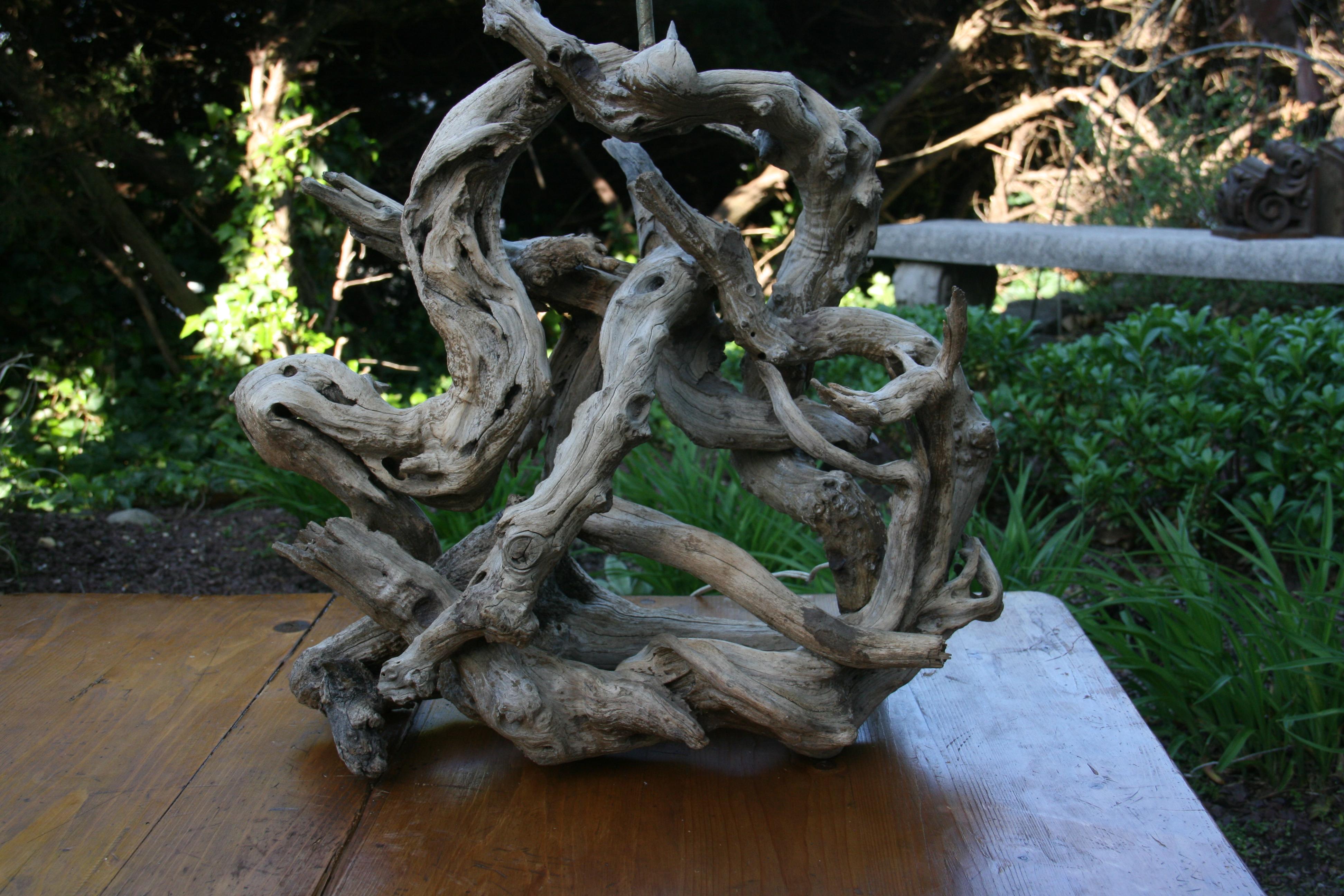 Milieu du XXe siècle Lampe de bureau en bois flotté sculpté naturellement des années 1950 / Sculpture naturelle en vente