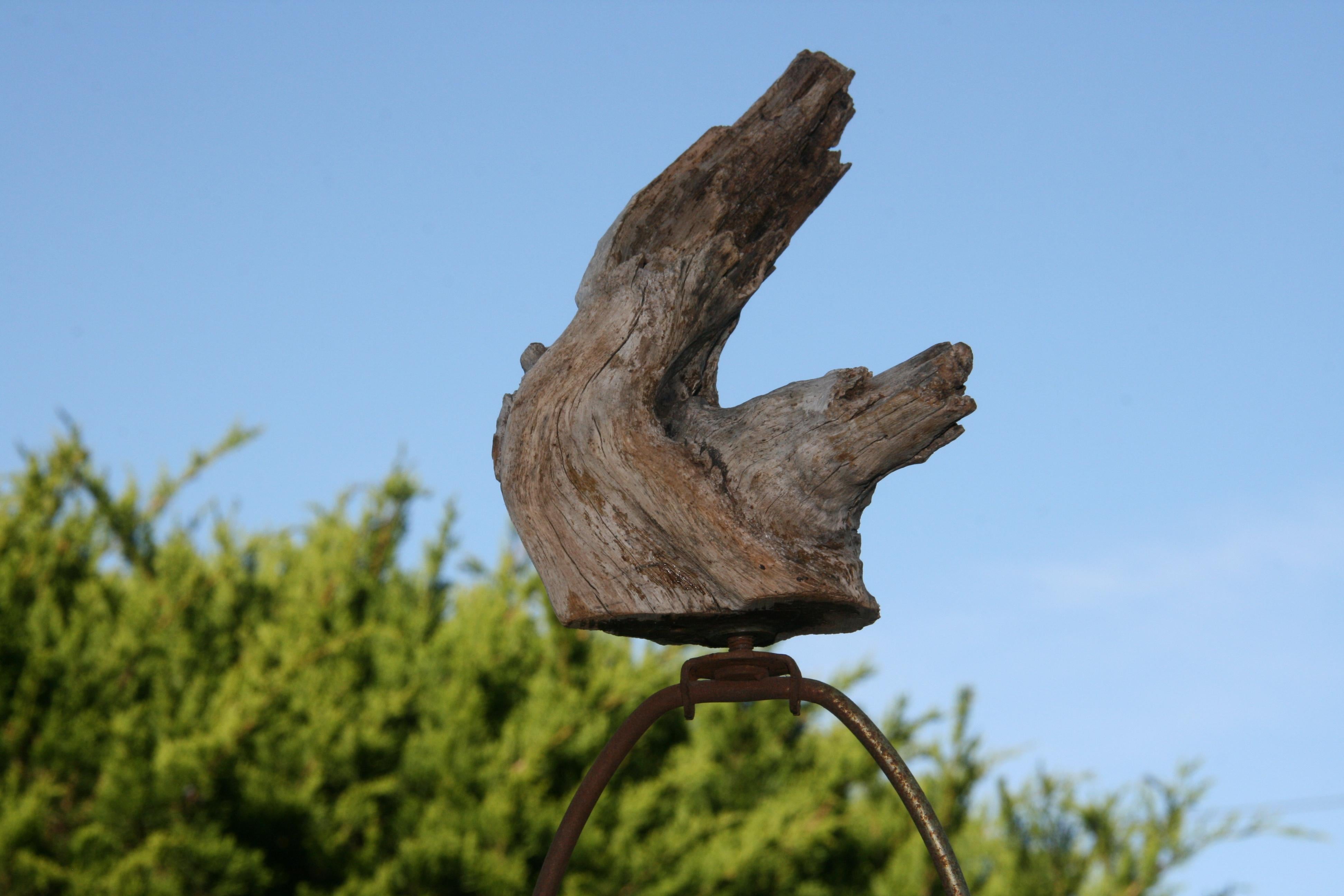 Bois flotté Lampe de bureau en bois flotté sculpté naturellement des années 1950 / Sculpture naturelle en vente