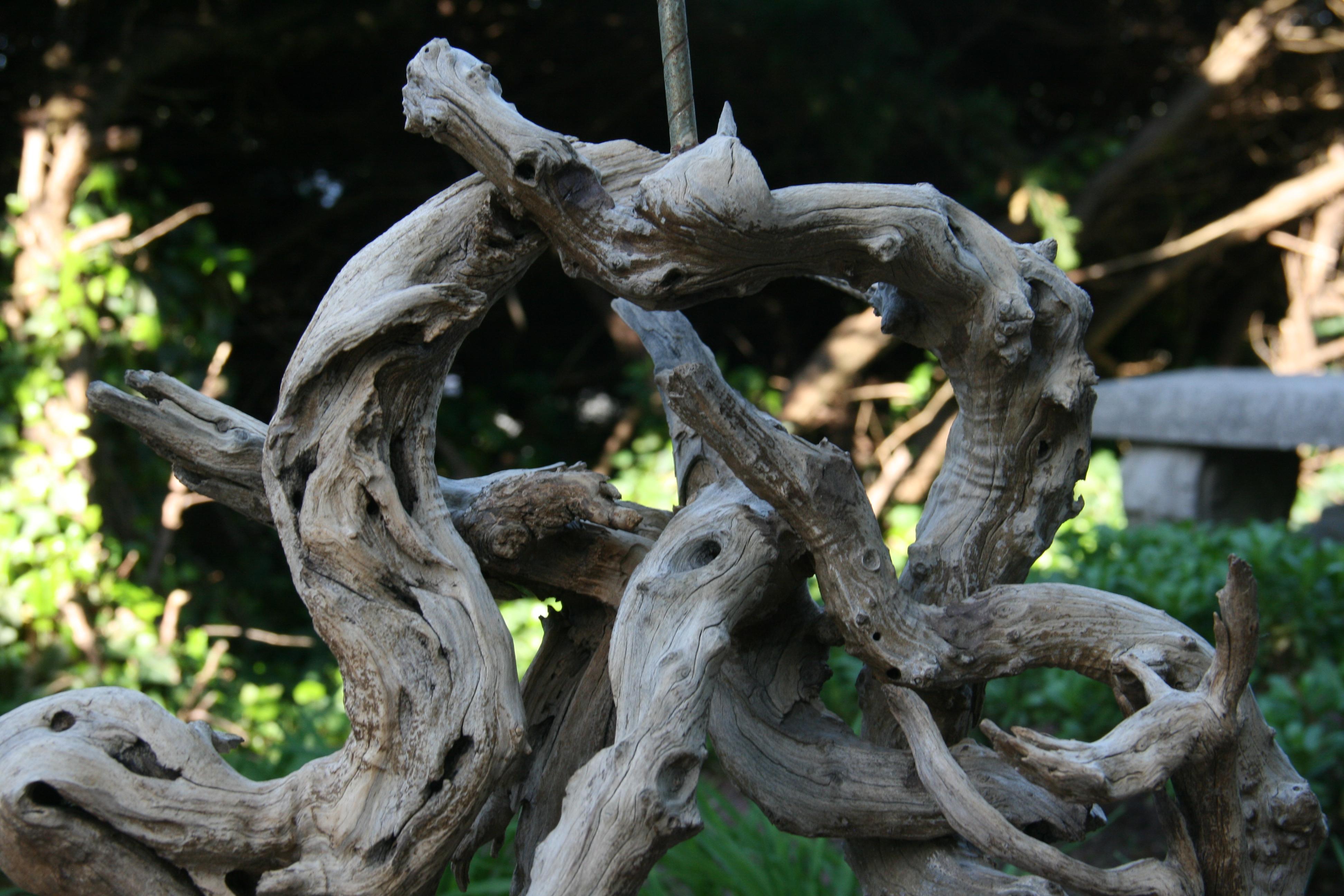 Lampada da tavolo in legno driftwood scolpito naturalmente/Scultura naturale anni '50 in vendita 1