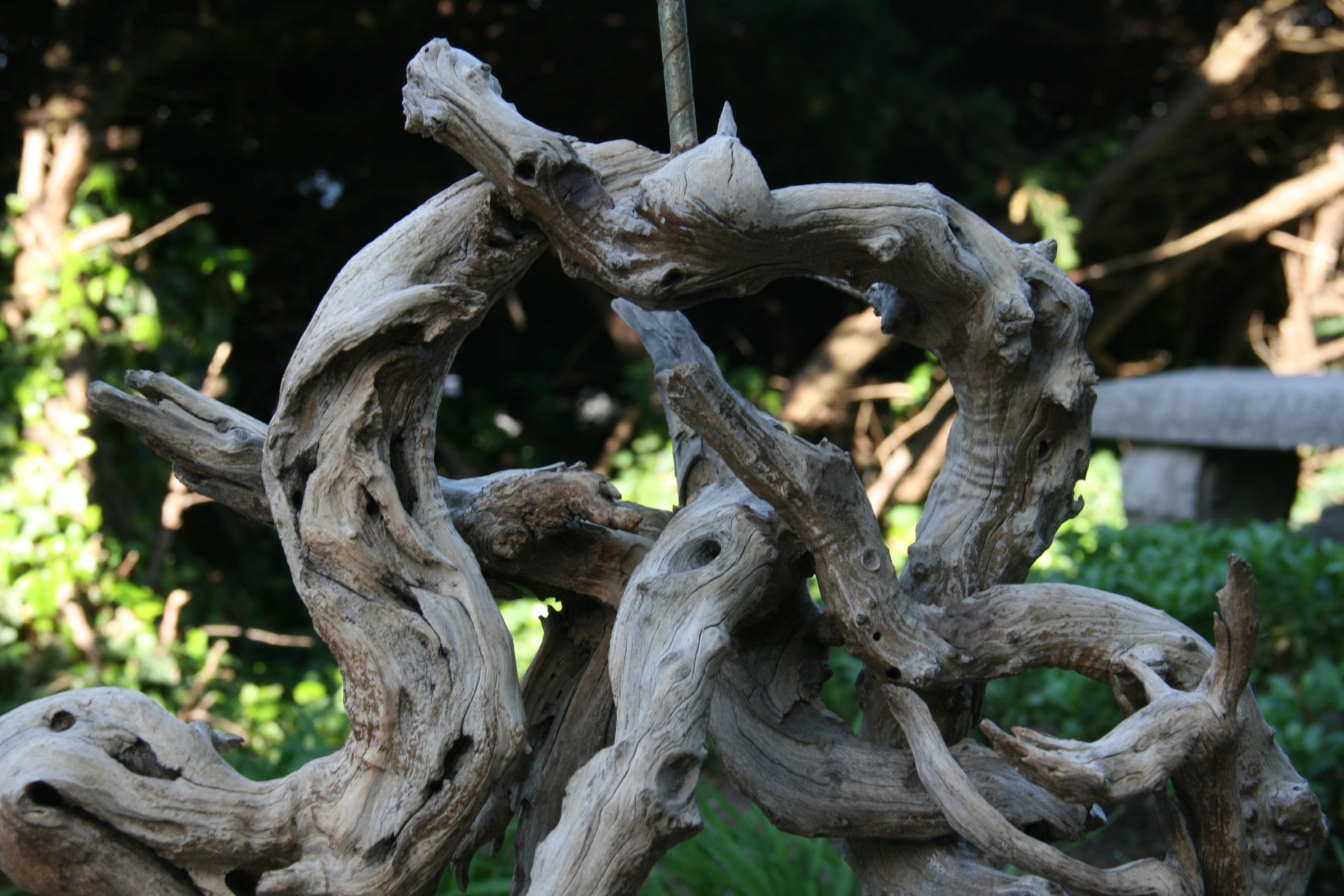 Naturally Sculpted Driftwood Table Lamp/Natural Sculpture 1950's For Sale 1