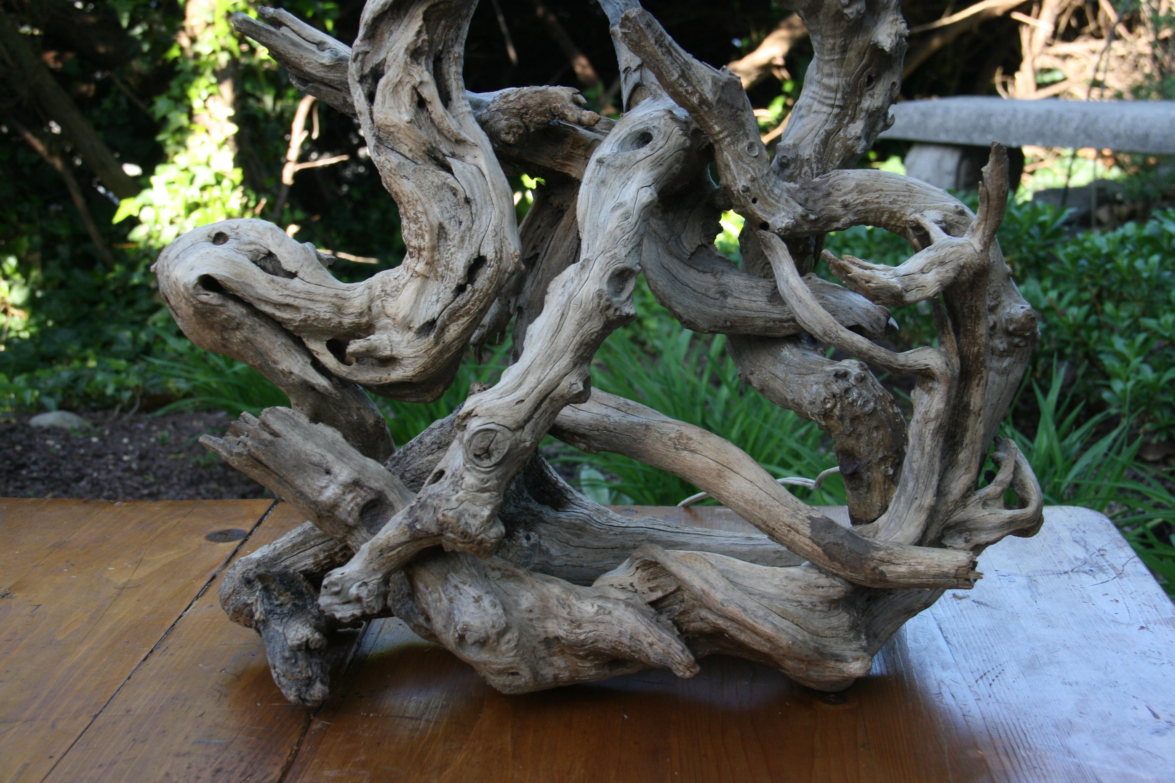 Lampe de bureau en bois flotté sculpté naturellement des années 1950 / Sculpture naturelle en vente 2