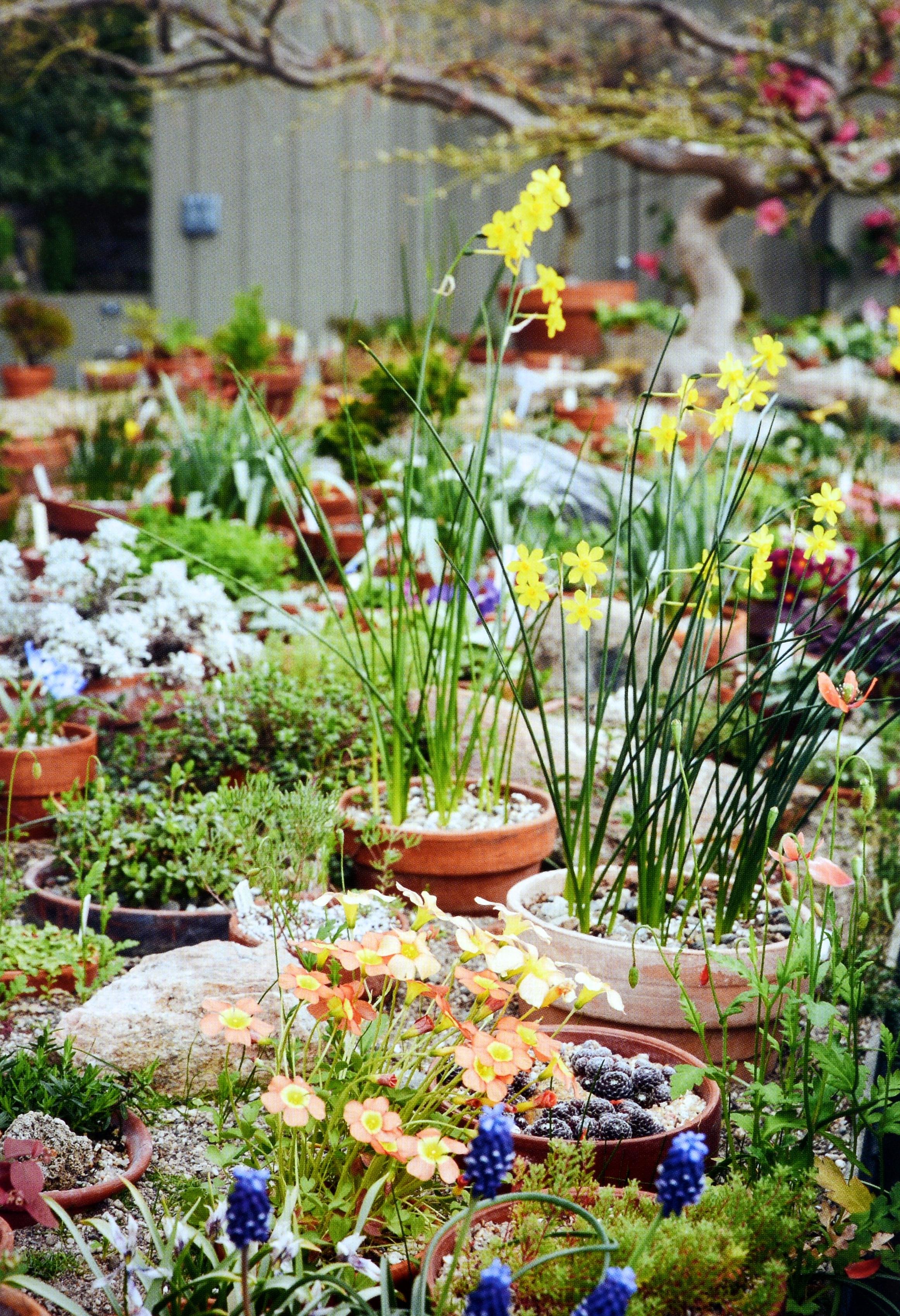 De la nature à l'art : Les jardins d'I Hill par Thomas Hill, 1ère éd. en vente 9