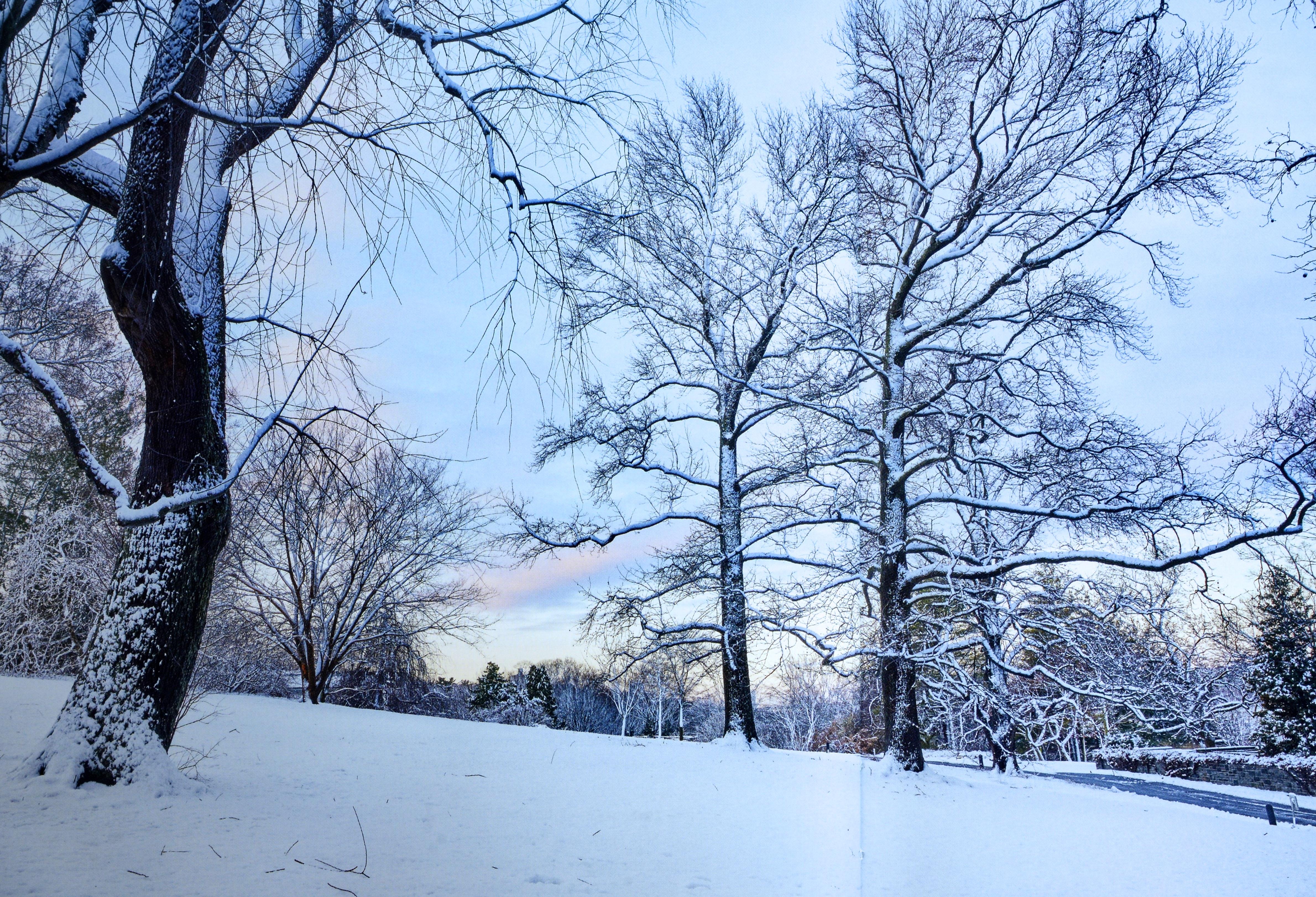 De la nature à l'art : The Gardens of Wave Hill par Thomas Christopher. 1ère édition, couverture rigide avec jaquette. 