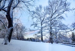 La Naturaleza convertida en Arte: Los jardines de Wave Hill, de Thomas Christopher, 1ª Ed.