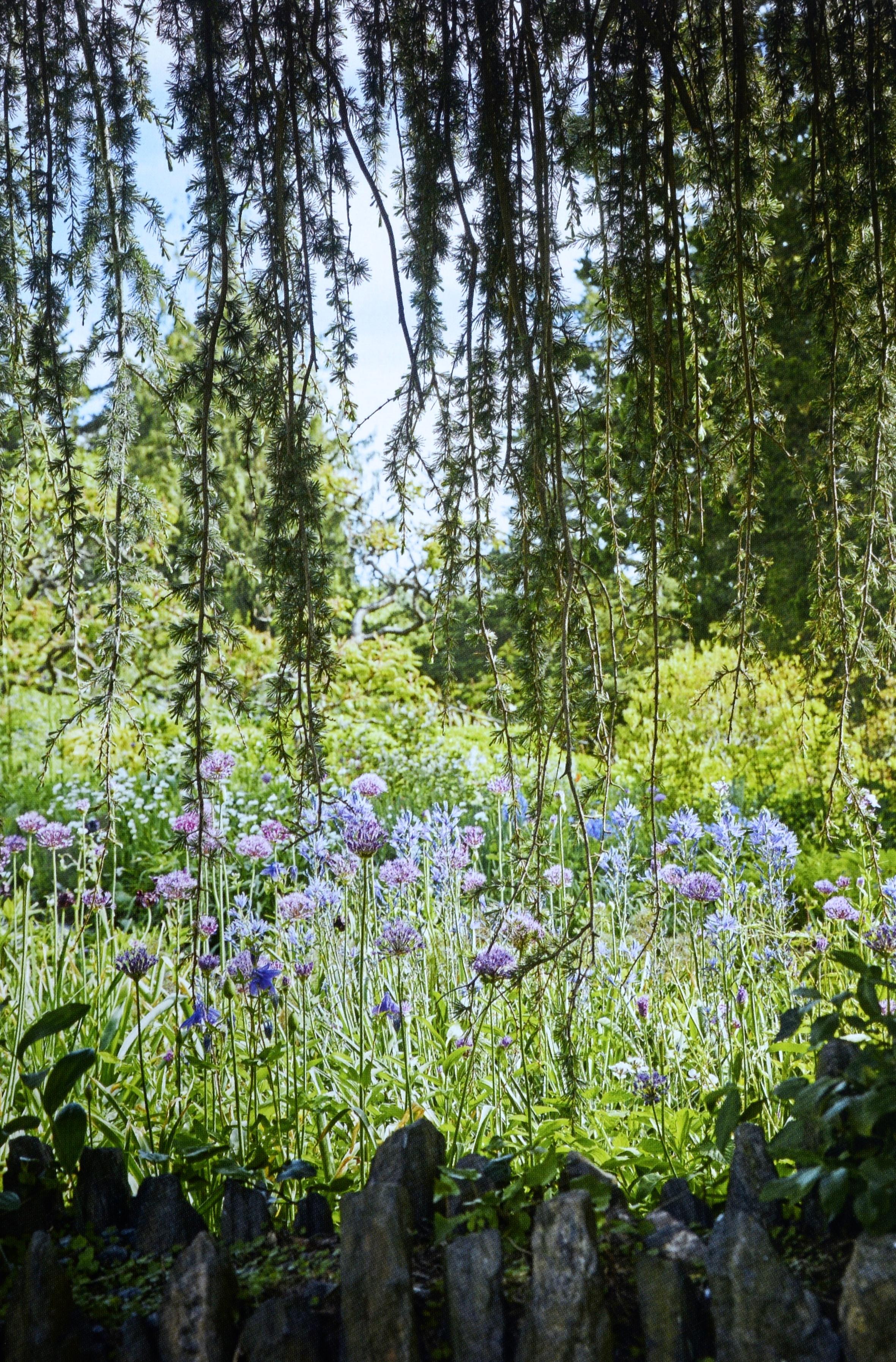 Américain De la nature à l'art : Les jardins d'I Hill par Thomas Hill, 1ère éd. en vente