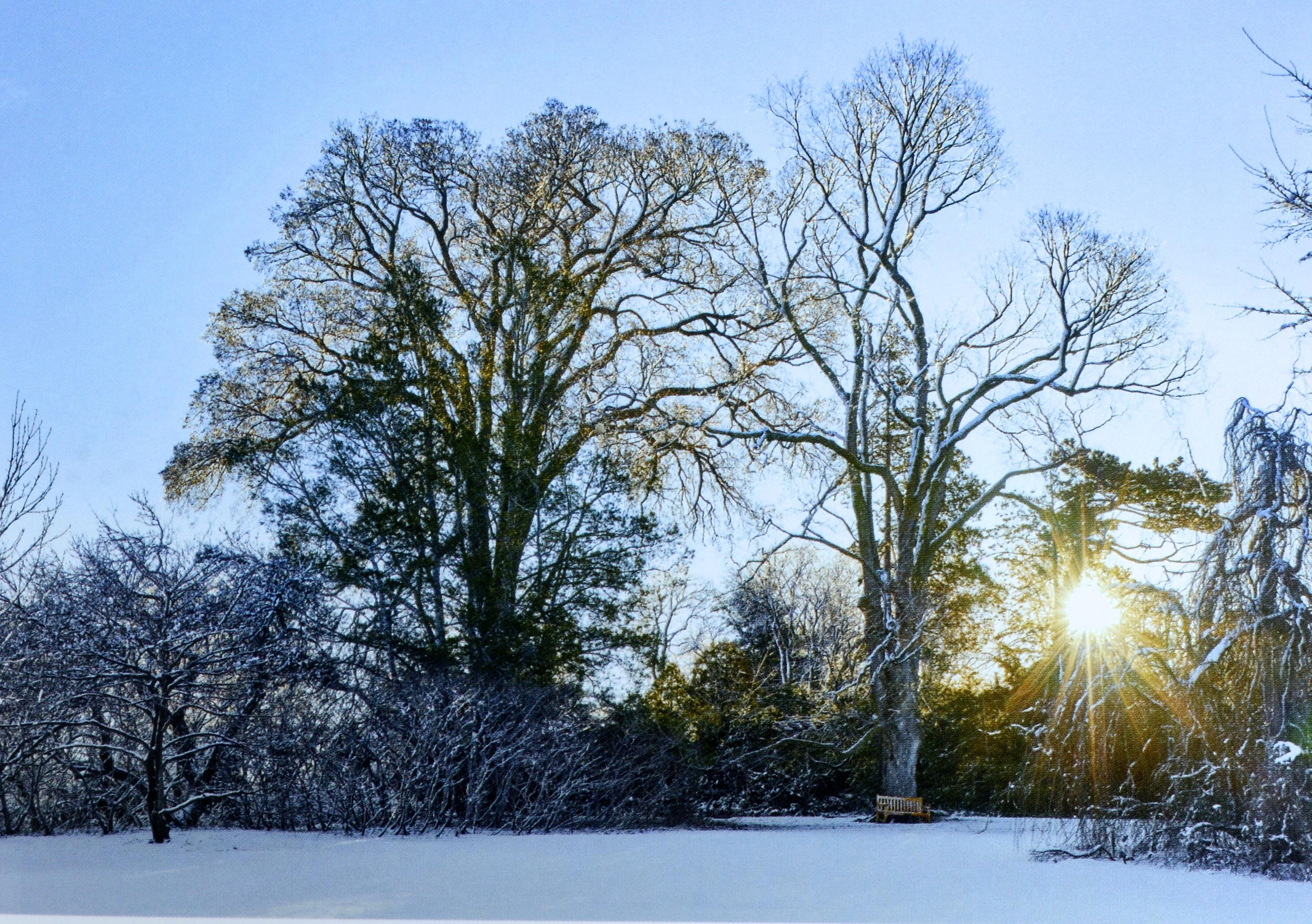 XXIe siècle et contemporain De la nature à l'art : Les jardins d'I Hill par Thomas Hill, 1ère éd. en vente