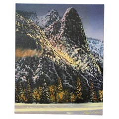 Nature Landscape Painting Acrylic by Randell Seals 16x20 Forest Wall Art (1998)