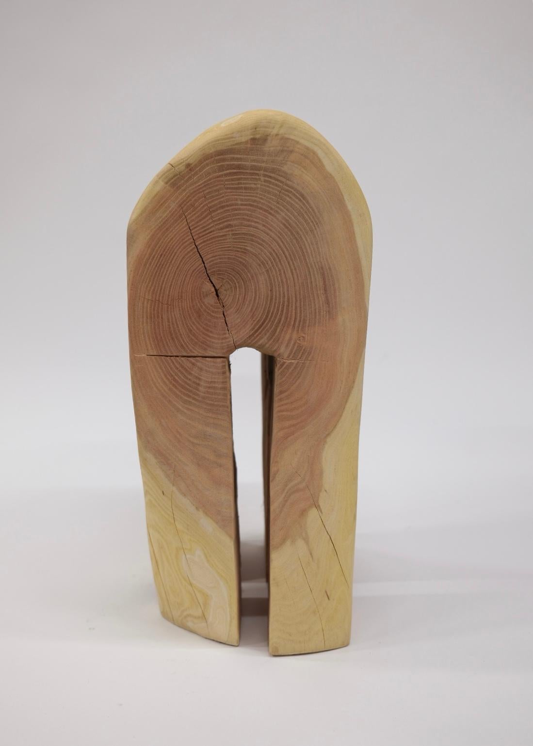 Sculpted from a dilapidated red oak stump found on the side of the road, “Nature & Nurture” serves as a balance/duality that isn’t meant to combat, but demonstrate how nature and man’s touch can coexist. While the first impression is that of