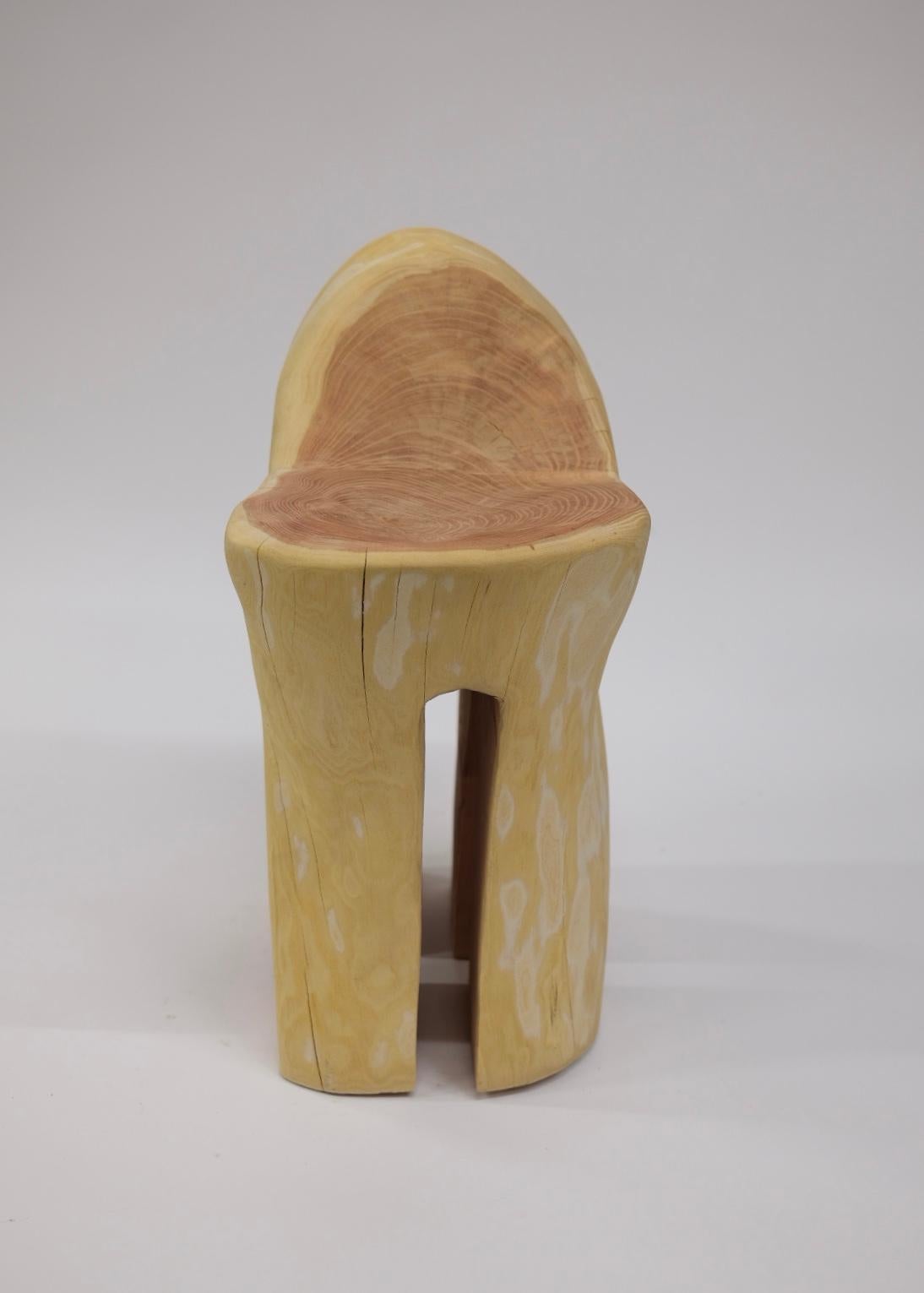 Modern Nature & Nurture Contemporary Stool in Red Oak For Sale