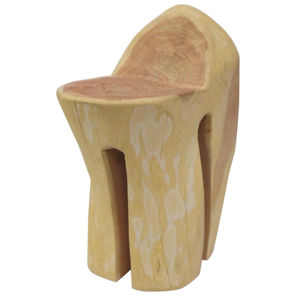 Nature & Nurture Contemporary Stool in Red Oak For Sale