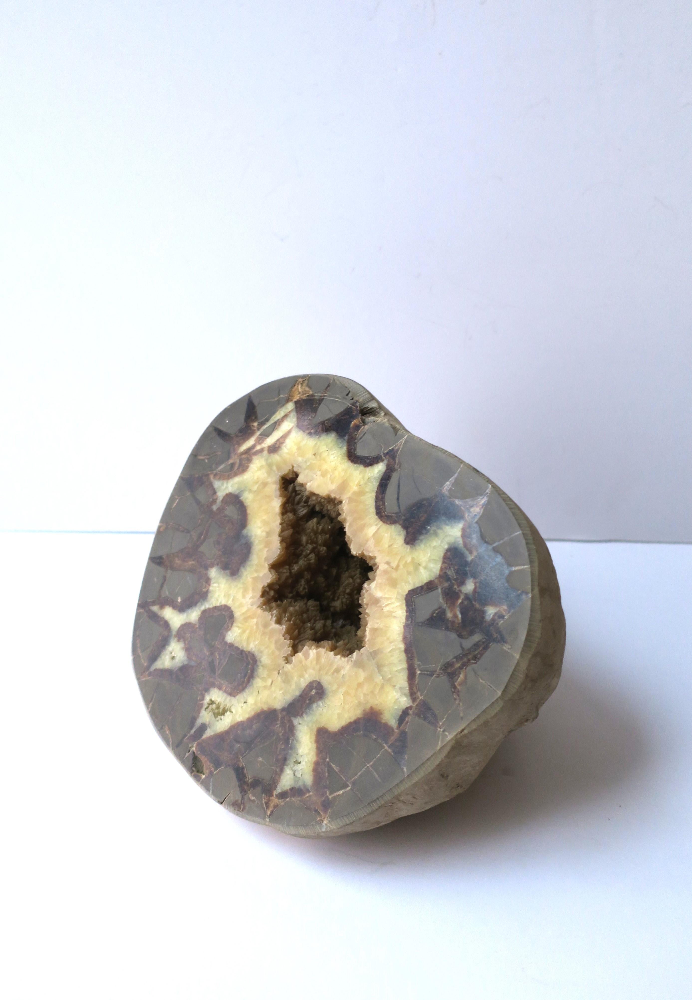 Organic Modern Natural Quartz Geode Decorative Object For Sale