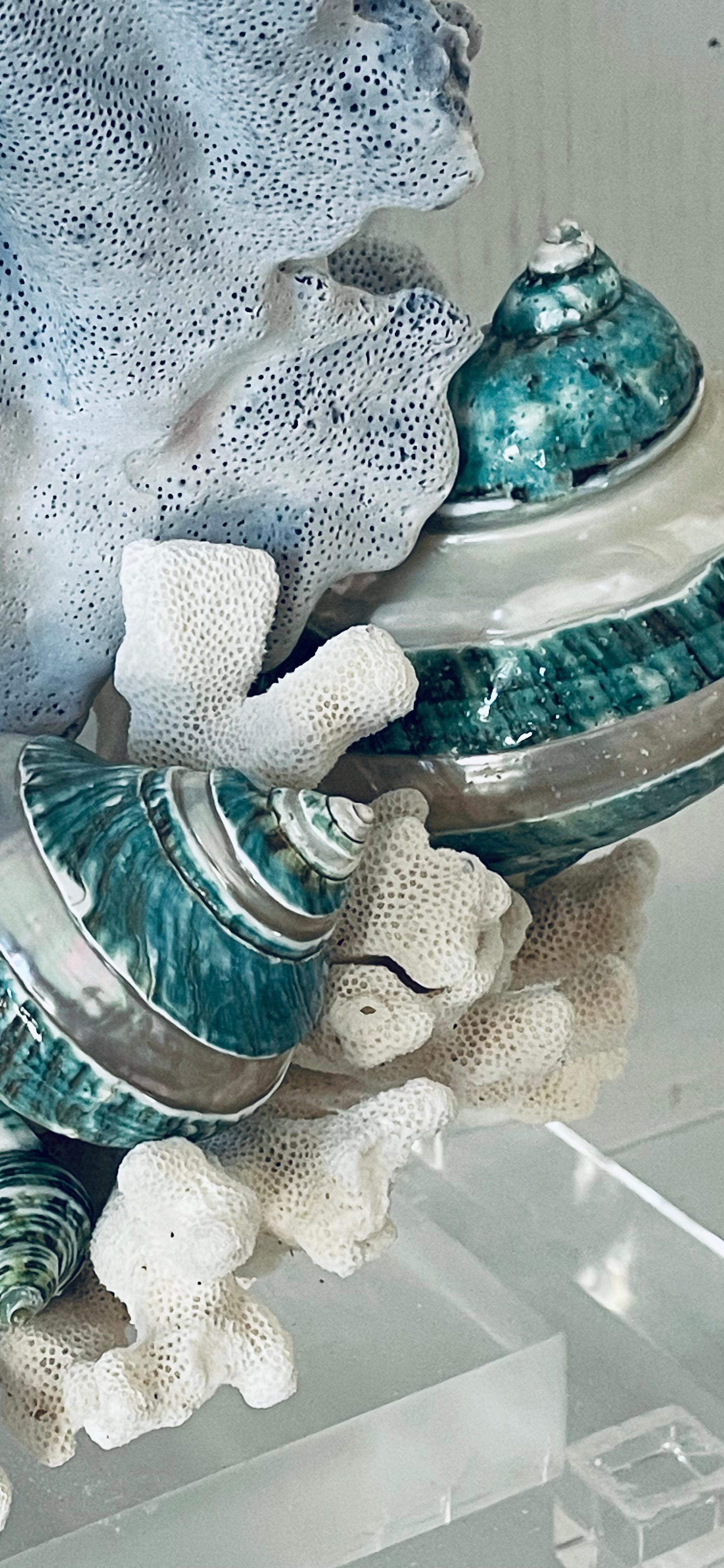 Nature Beauty  Esemplari di conchiglie di corallo blu e bianco su supporto di lucite personalizzato In condizioni buone in vendita a Boca Raton, FL