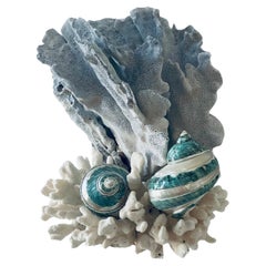 Die Schönheit der Natur  Blaue Koralle Weiße Koralle Muscheln Exemplare auf benutzerdefinierte Lucite Stand