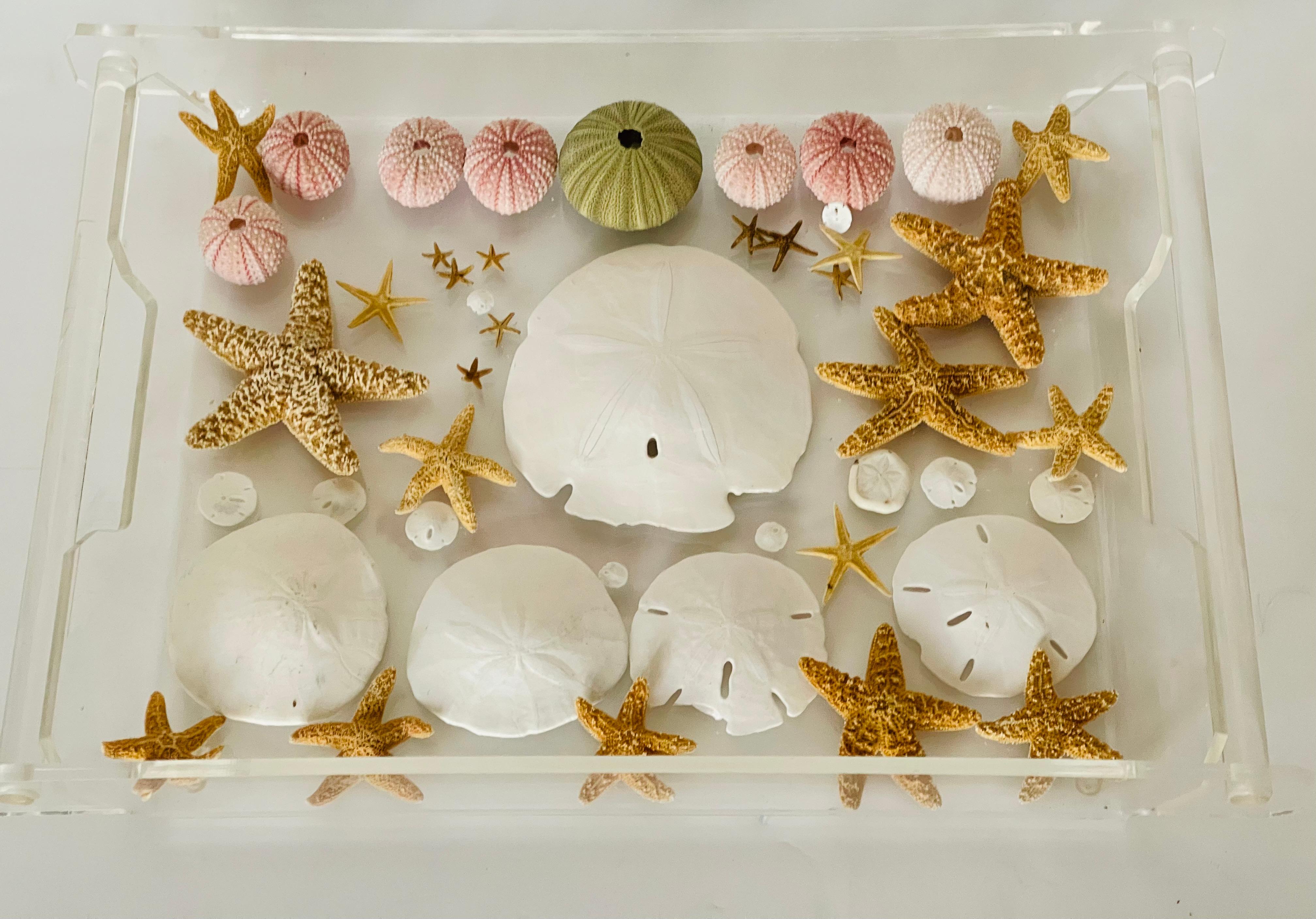Organique Natures Beauty- Collection Marin Taxidermie en vente