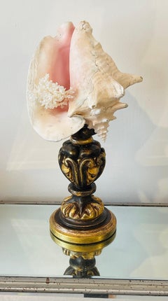 Natures Beauty Sea Conch shell with Coral Branch on Gilded Wood Italian Pricket