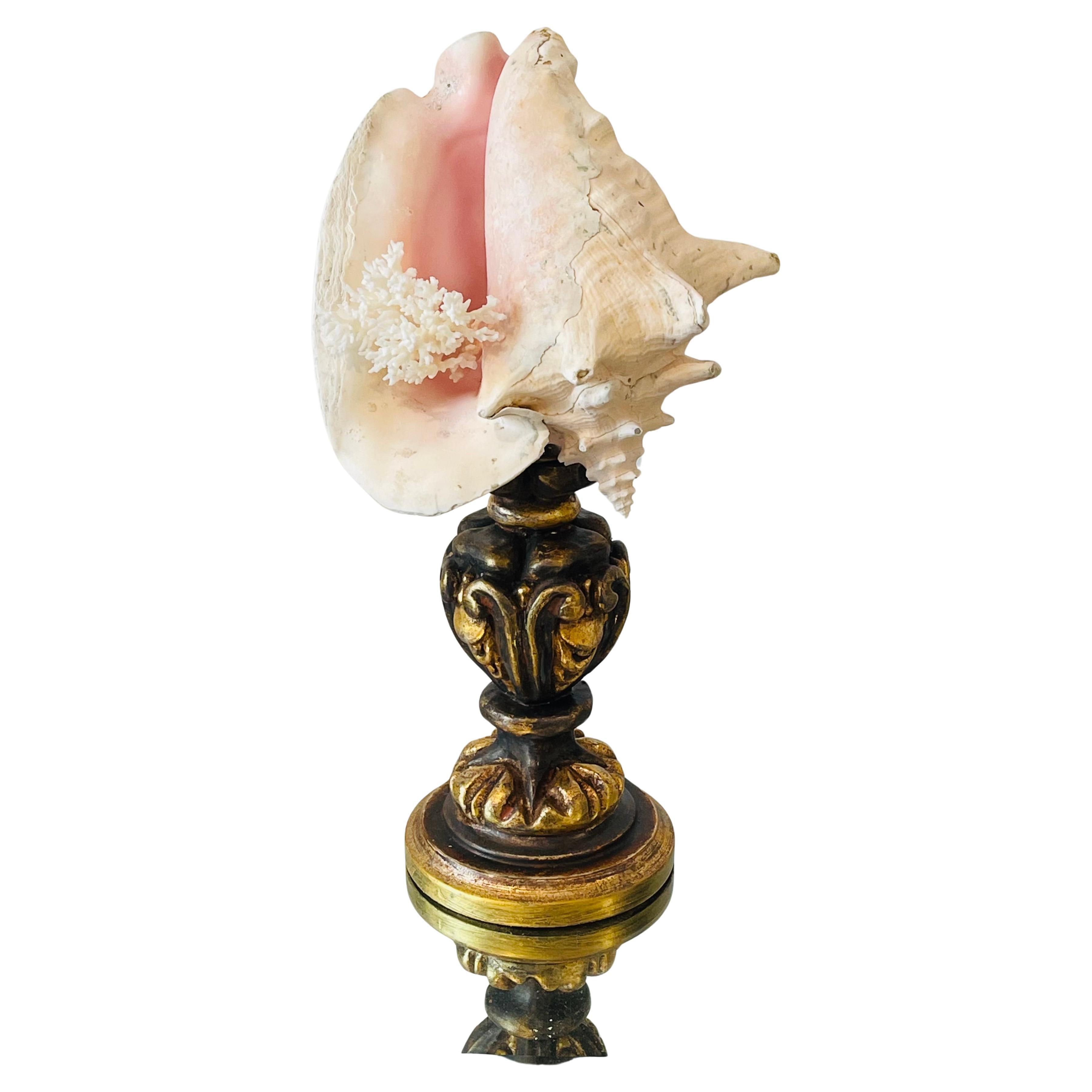 Natures Beauty Sea Conch shell with Coral Branch on Gilded Wood Italian Pricket