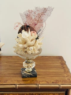 Natures Beauty Sea Coral, Abalone Shell on Antique Epergne