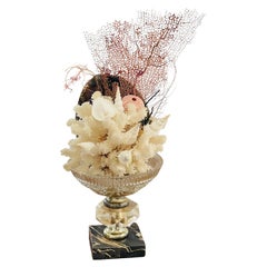 Natures Beauty Sea Coral, Abalone Shell on Antique Epergne Natures Beauty Sea Coral, Abalone Shell on Antique Epergne