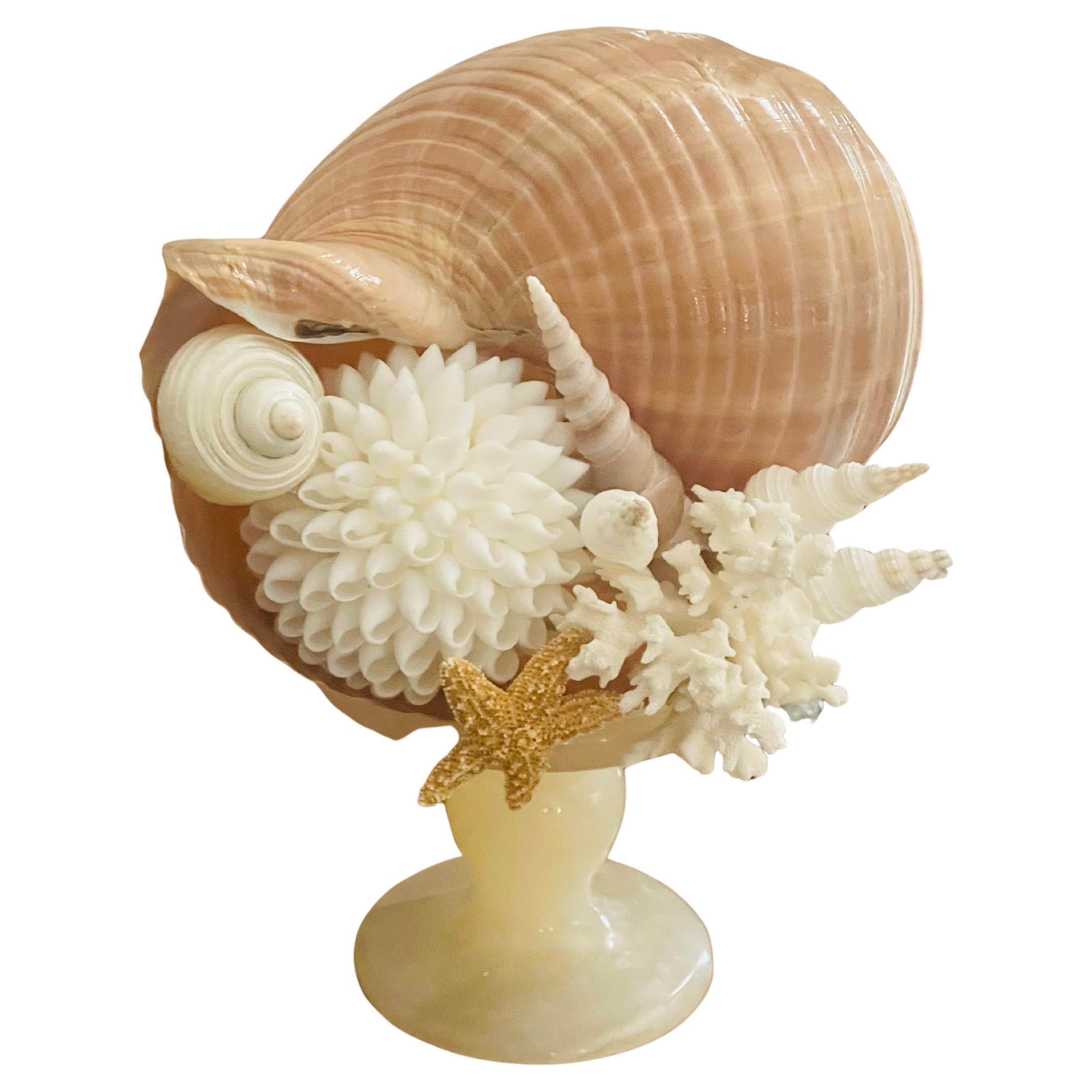 Natures Beauty Assemblage de coraux et de coquillages sur albâtre italien Tazza