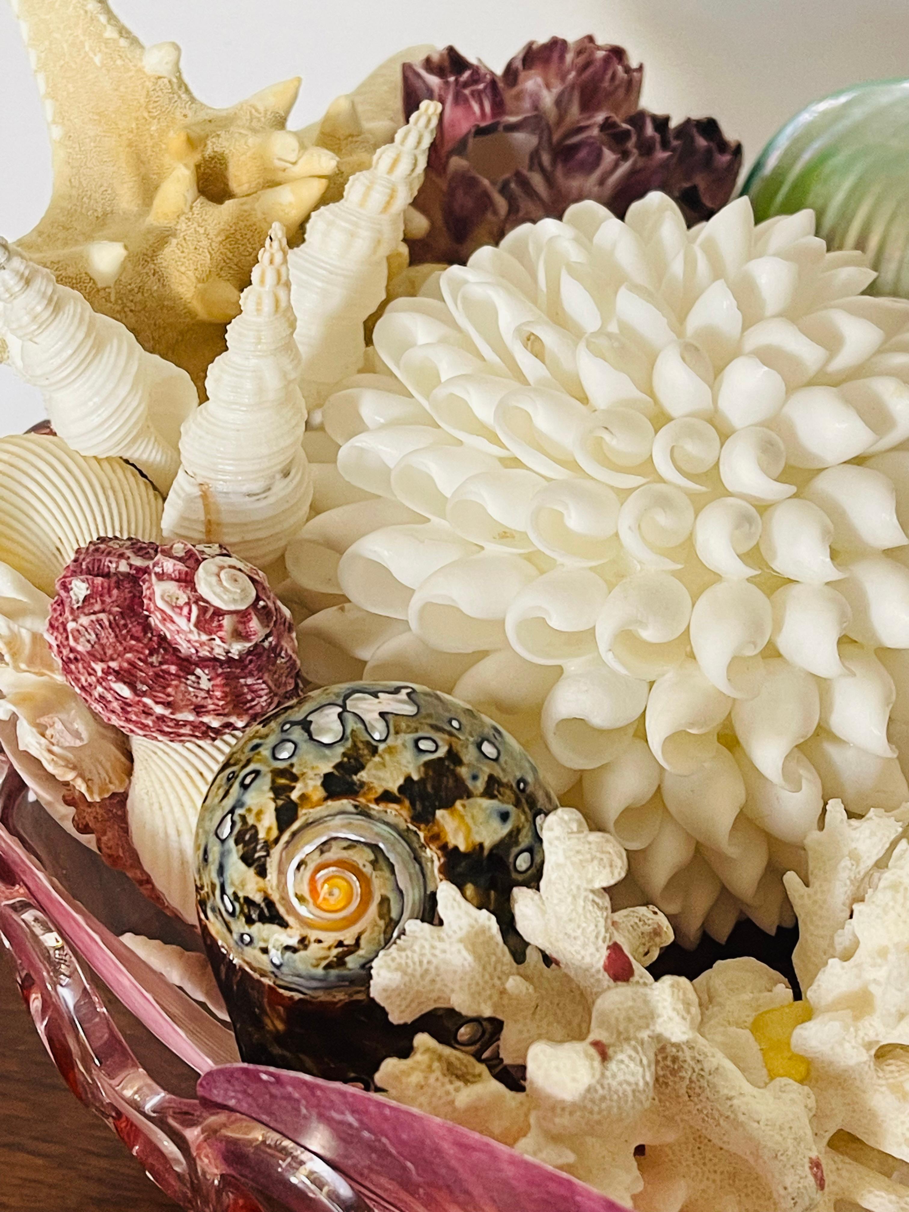 Conchiglia Selezione di conchiglie di Nature Beauty su un supporto di vetro in vendita