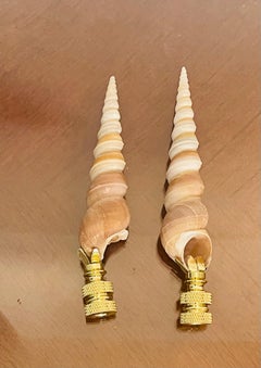 Nature’s Beauty Swirled Sea Shells Pair Lamp Finials