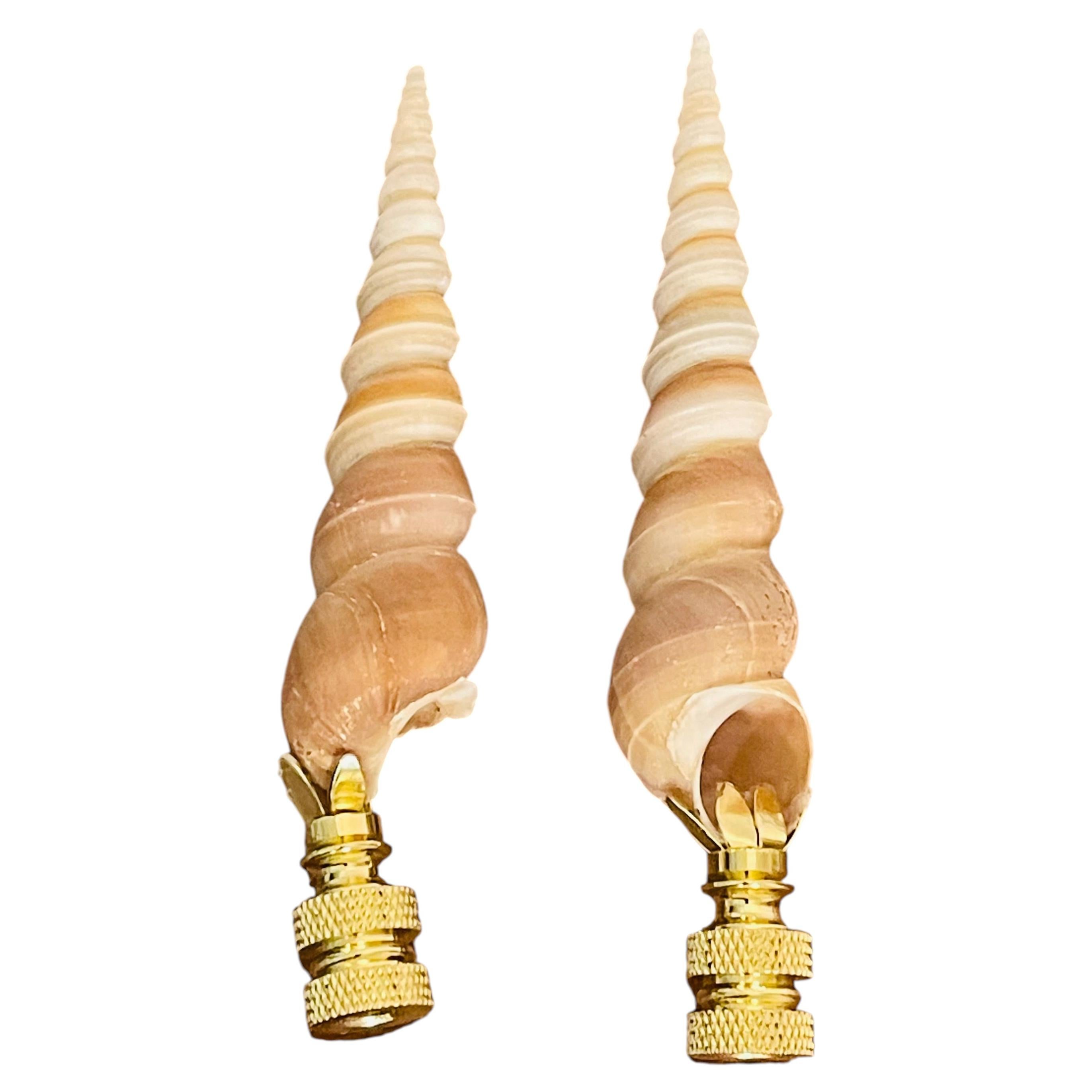 Nature’s Beauty Swirled Sea Shells Pair Lamp Finials For Sale