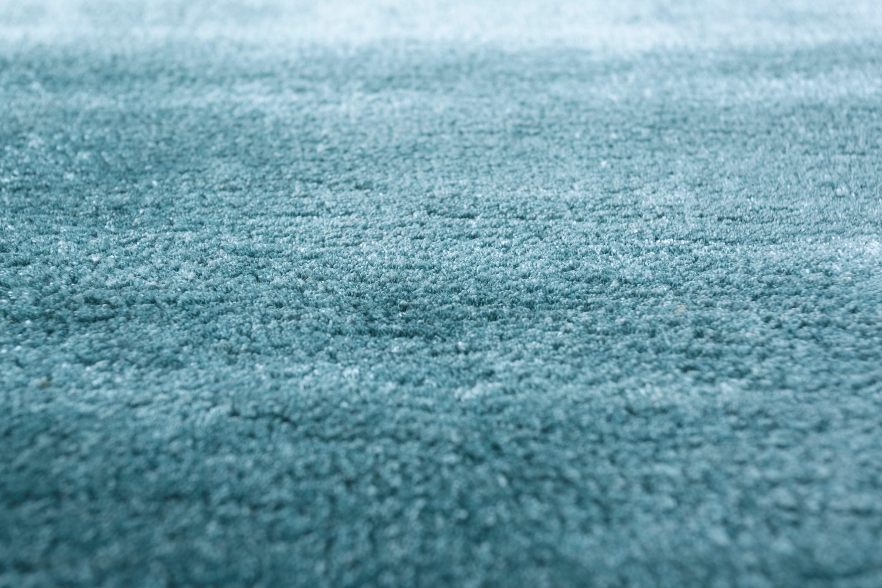 Indien Tapis touffeté à la main Nature's Luminescence Bristol Blue & Bristol Blue 180x270 cm en vente