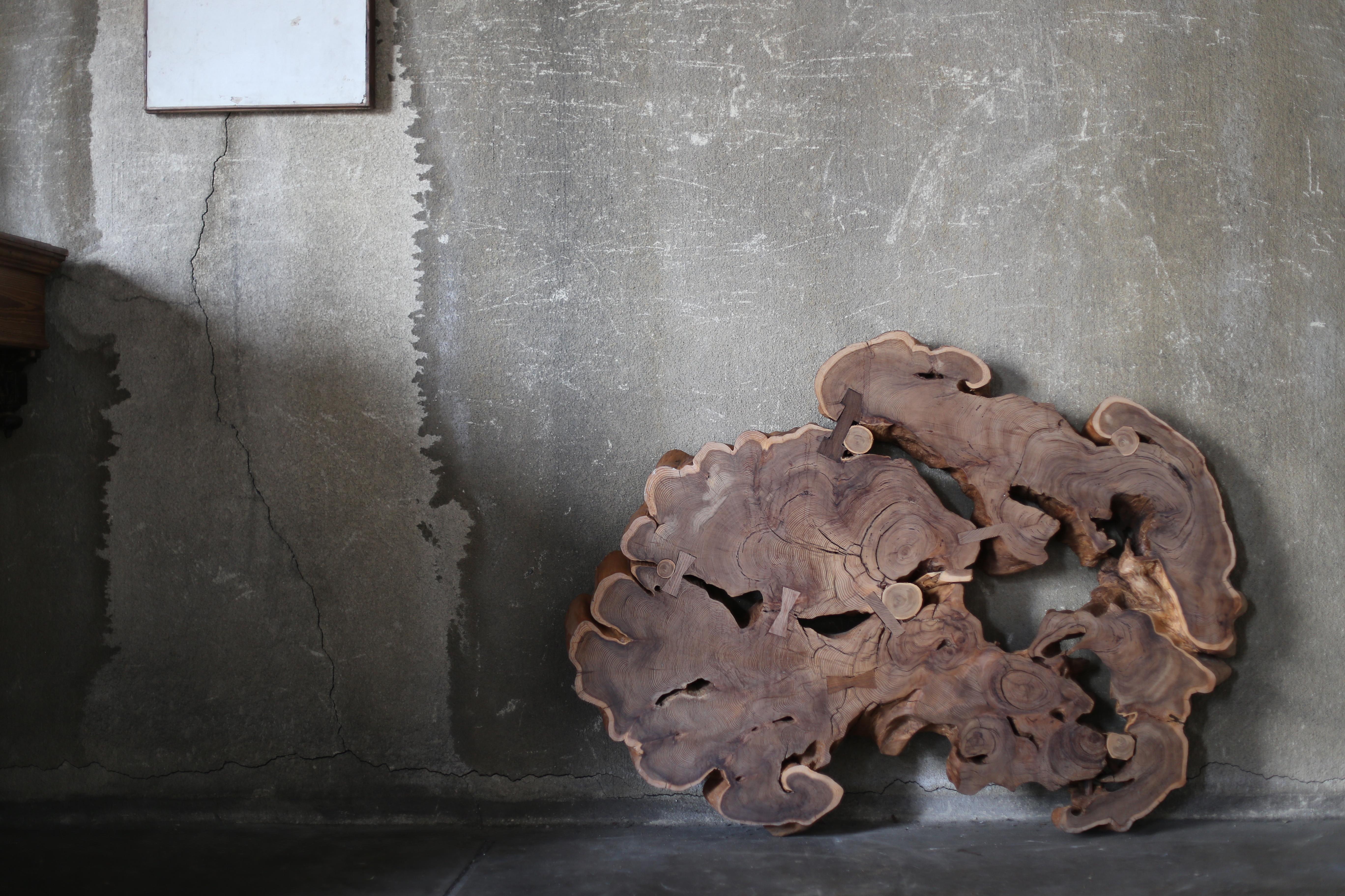 This slab of ancient Japanese solid wood was cut from a single, enormous tree that grew over many years.

The powerful, intricately undulating grain, the intricate overlapping of tree rings, and the natural cavities and cracks speak volumes about