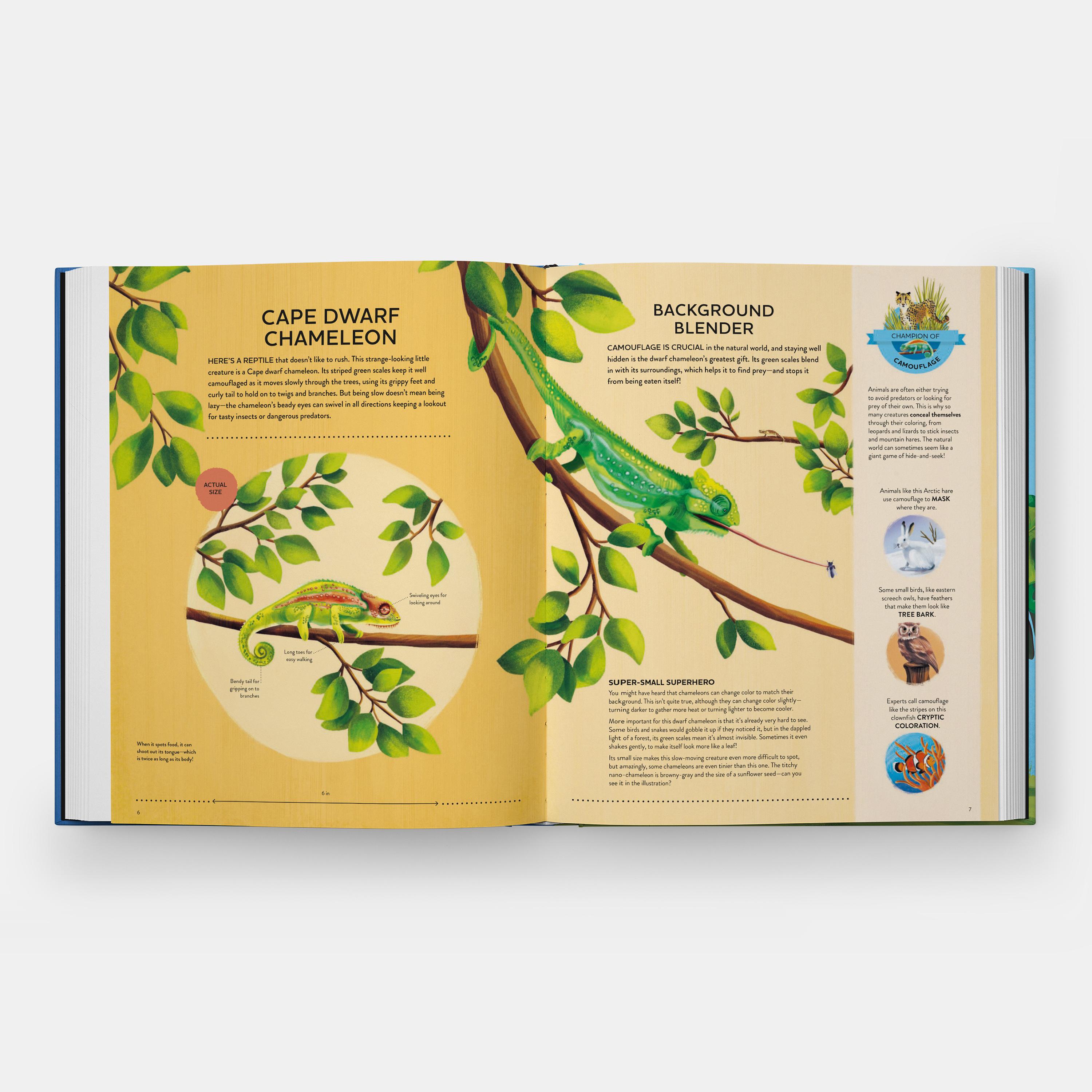 I piccoli campioni di Nature Il grande libro delle piccole creature che fanno cose potenti in vendita 4