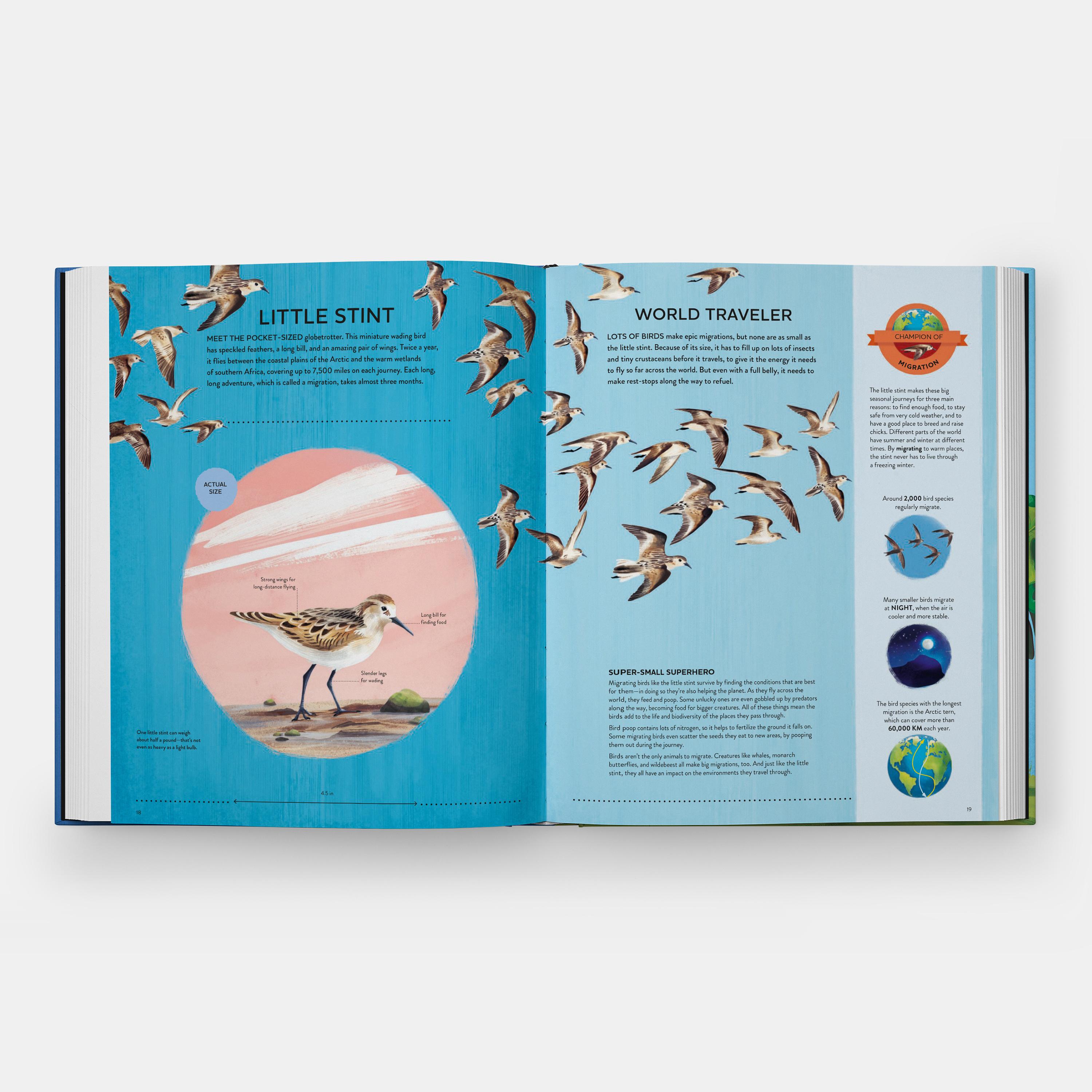 Carta I piccoli campioni di Nature Il grande libro delle piccole creature che fanno cose potenti in vendita