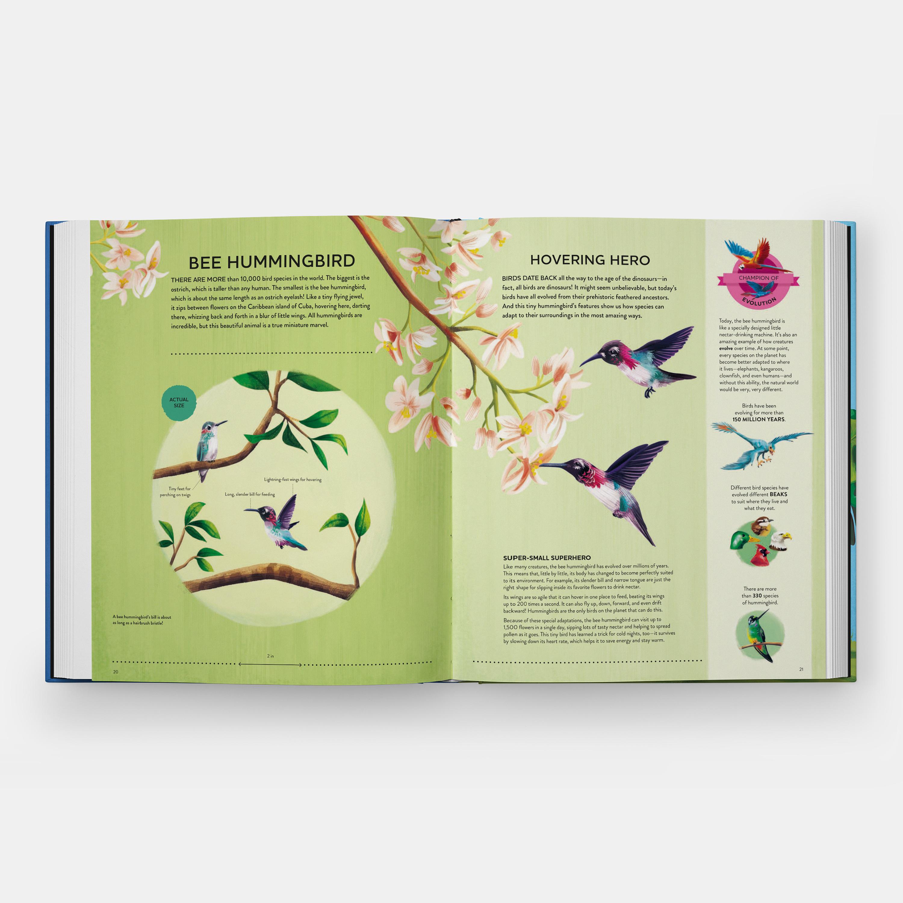 I piccoli campioni di Nature Il grande libro delle piccole creature che fanno cose potenti in vendita 1